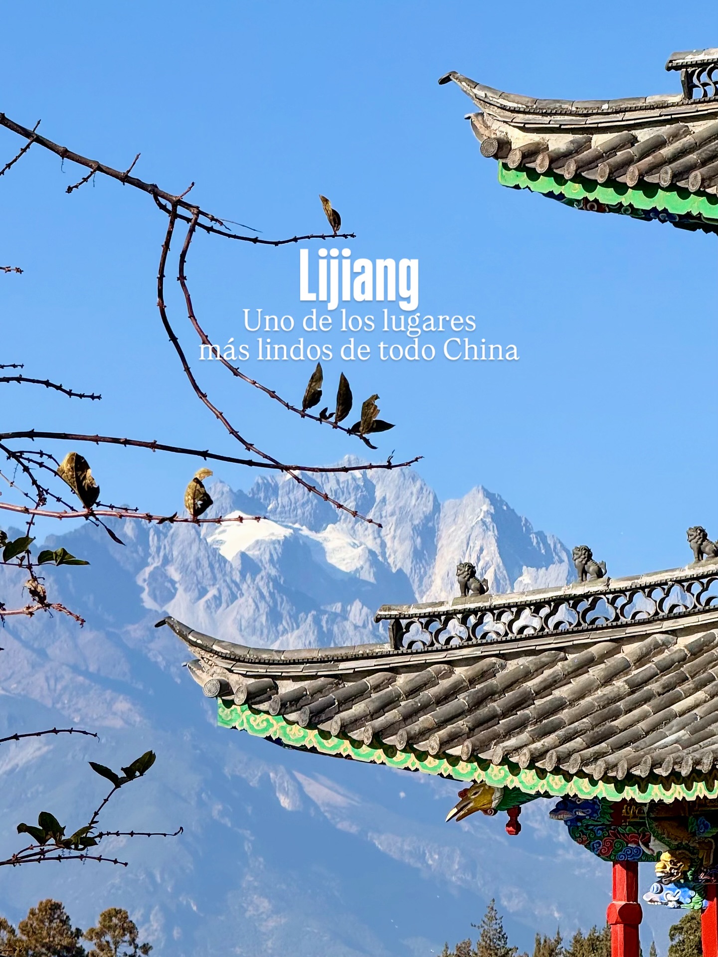 🇨🇳 LIJIANG: TRADICIÓN Y NATURALEZA DE OTRO PLANETA✨
📍 Old Town (Patrimonio UNESCO)
Calles empedradas, canales de agua y casas tradicionales Naxi que te hacen sentir en otra época.
🏯 Torre Wangu
La mejor vista panorámica de Lijiang. Subí hasta lo alto y disfrutá del contraste entre la ciudad antigua y las montañas.
🐉 Parque Black Dragon
Uno de los spots más fotogénicos: lagos, puentes y el reflejo de la Montaña del Dragón de Jade.
🏘️ Shuhe Ancient Town
Más tranquila que el Old Town, perfecta para caminar sin apuro, tomar un té y conectar con la vida local.
💙 Blue Moon Valley (Parque Nacional)
Agua turquesa, montañas nevadas y paisajes irreales. Uno de los imperdibles del sur de China.
📌 Tip viajero: Lijiang es ideal para combinar cultura + naturaleza en un mismo destino.
👉 Guardá este post si Lijiang está en tu lista
✈️ Escribinos y armamos tu ruta por China
#Lijiang #ChinaTravel #ViajarPorChina #china