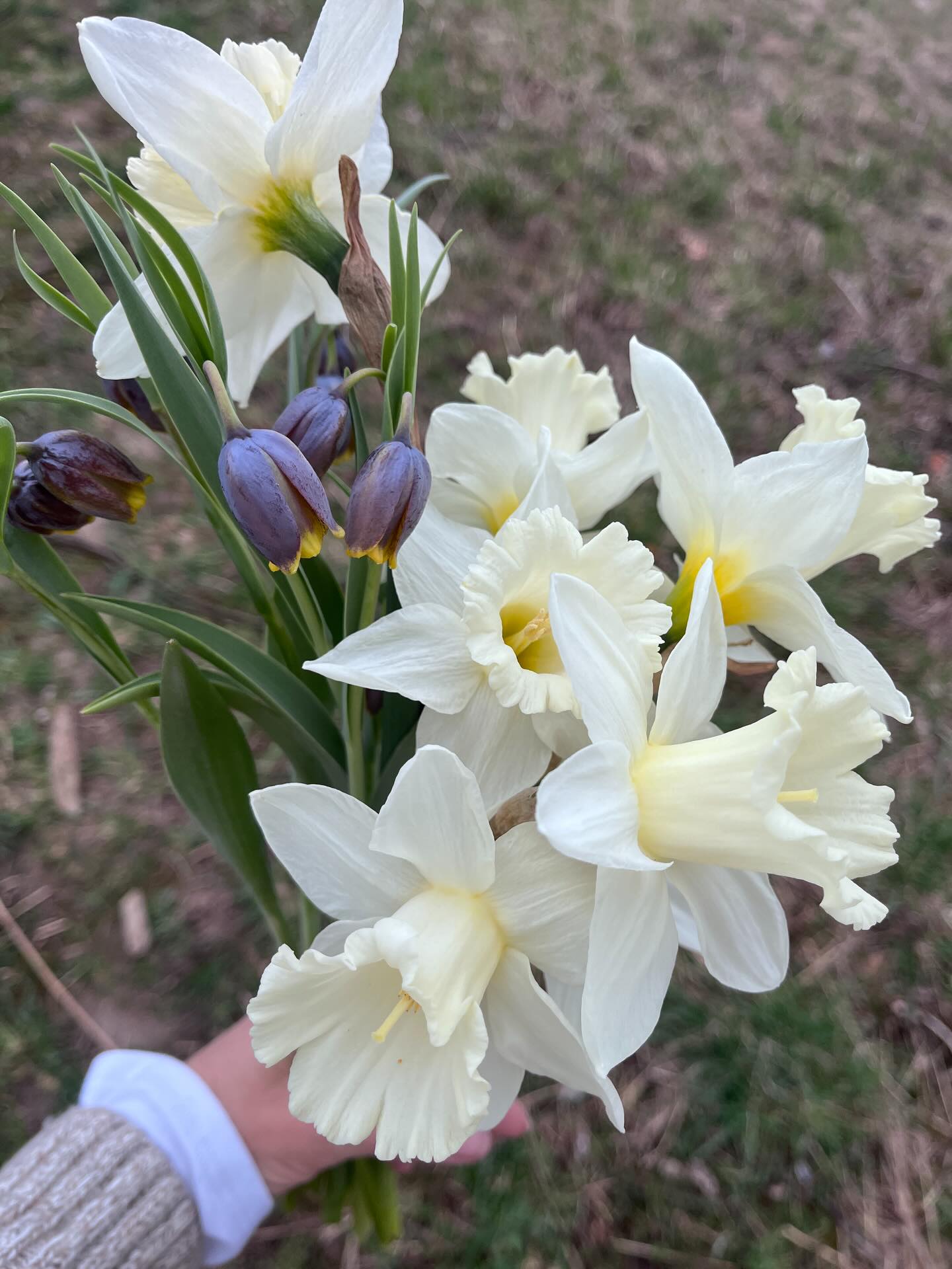 Dipping my toe back in here to say hello to 2026 and to you 👋 here a few fleeting moments in time from the growing season gone by. Let this be the the year I post more than twice on the grid 💝