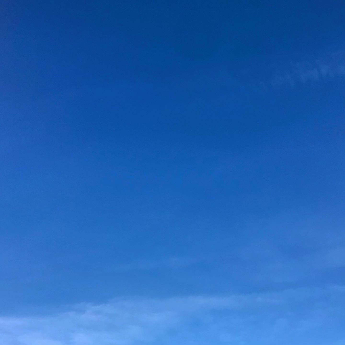 ⛅️ SALE ⛅️ Now there is some Blue Sky Oregon CBD! With sunny days and clocks springing forward spring must really be on its way. With that comes our annual ☀️🌈spring sale! Find all your favorite salves and tinctures for up to 35% off! Enjoy!