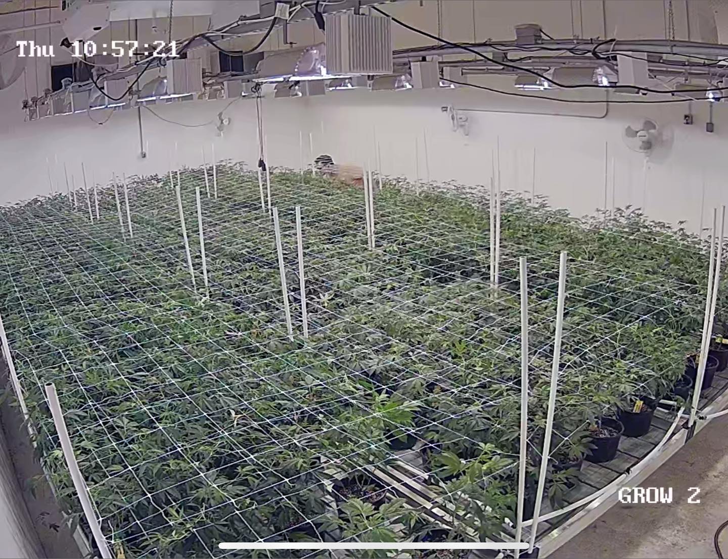 Harvested Monday, had the room cleaned and reset Wednesday. Props to @lil_og.330 and @reddirttony for knocking it out! 👊🏼