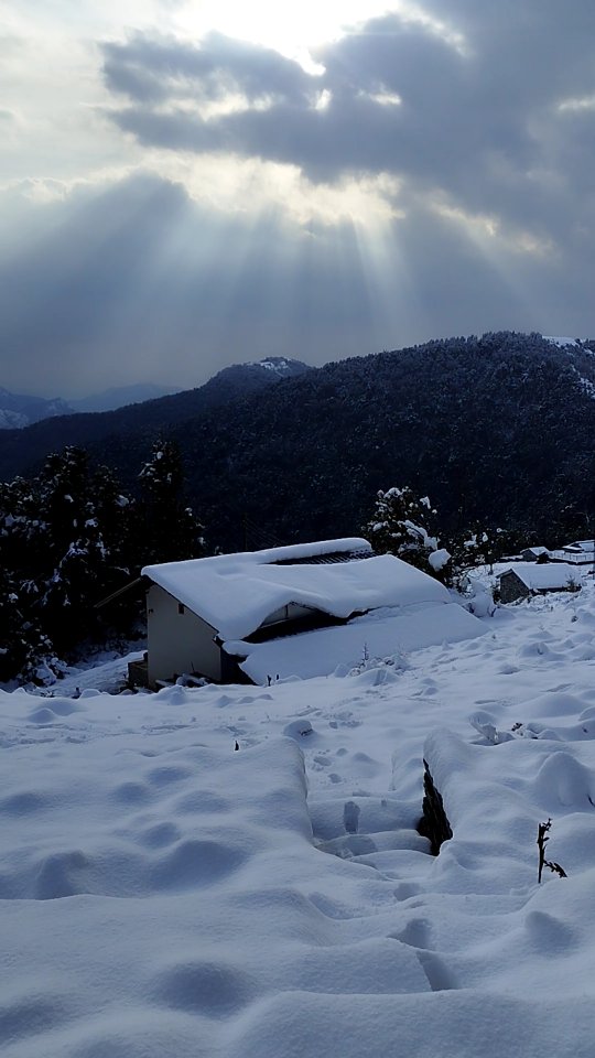 🌨️🌨️🌨️❄️❄️❄️
#himvanliti #firstsnow #snowfall #uttarakhand #himalayas #kumaon #ecoretreat #sustainability #stay #natureretreat #farmstay #snowfall #firstsnowfall #winters