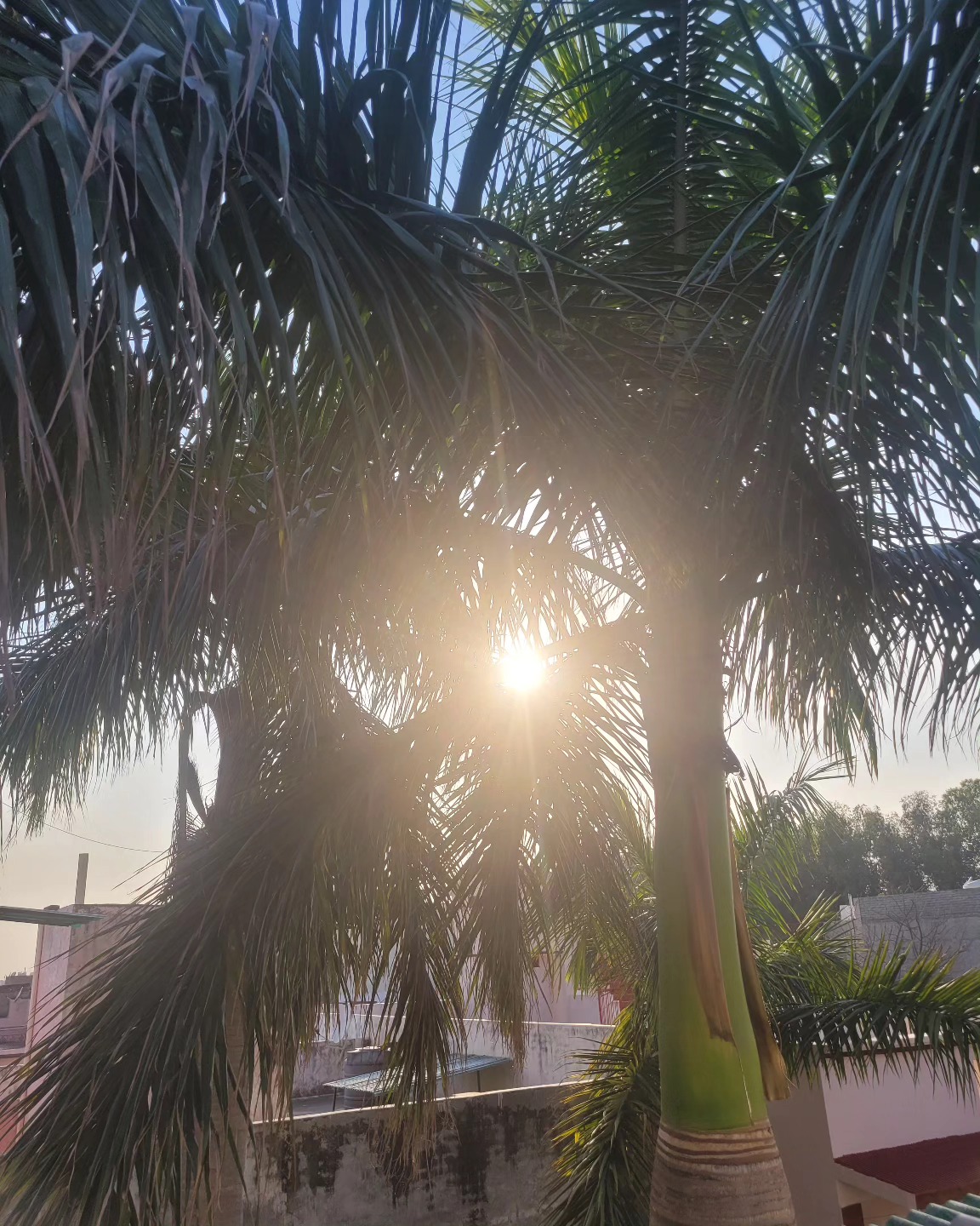 Hridayam ❤🎵
#queridazindagi