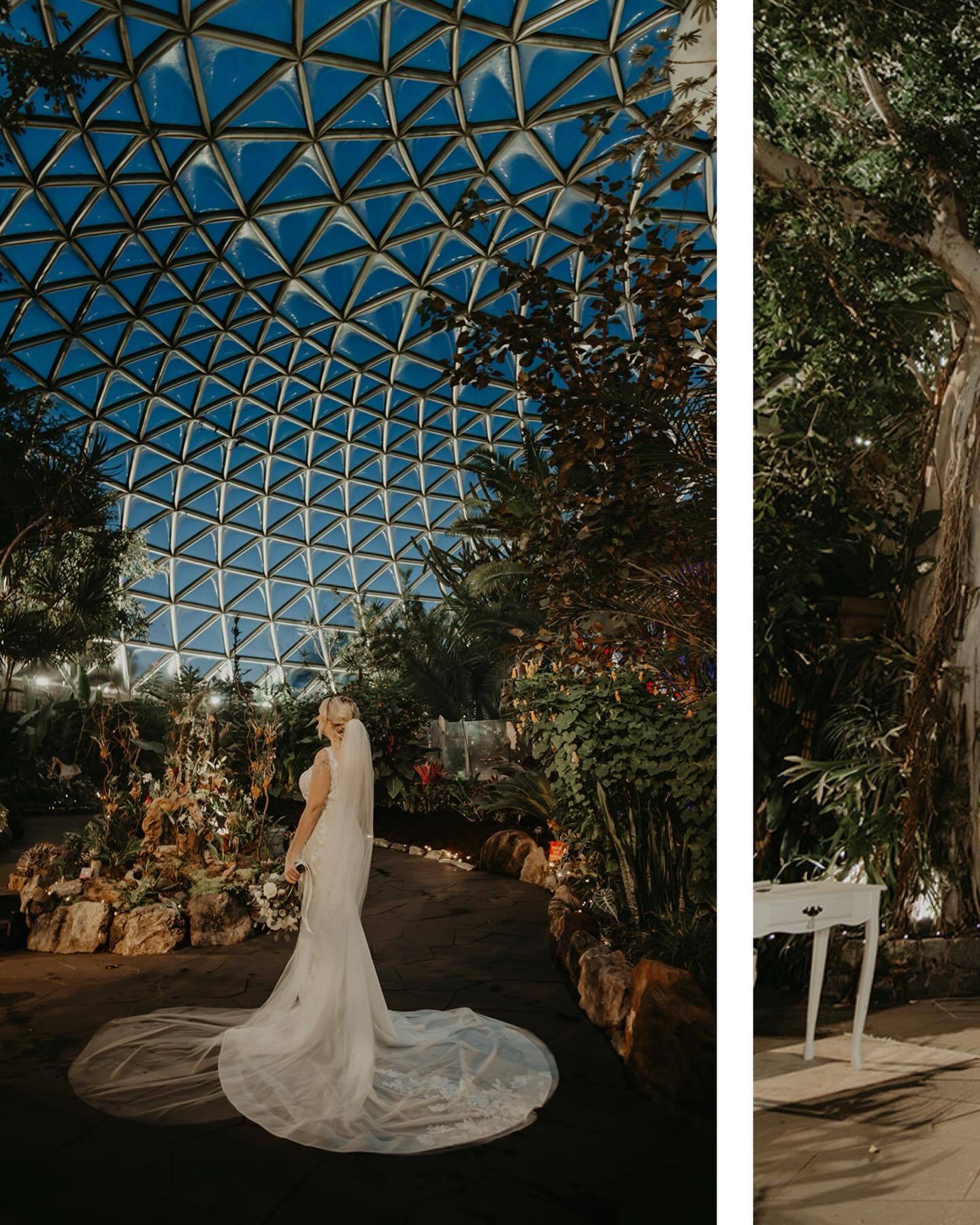 Bloedel Conservatory is the best combination of outdoor vibes but indoor temperature. Reach out to find out more about one of our FAVOURITE winter venues!
Officiant: @younghipandmarried @officiant_shawn
Photography: @ericamillerphotography
Florals: @bridalbeginnings