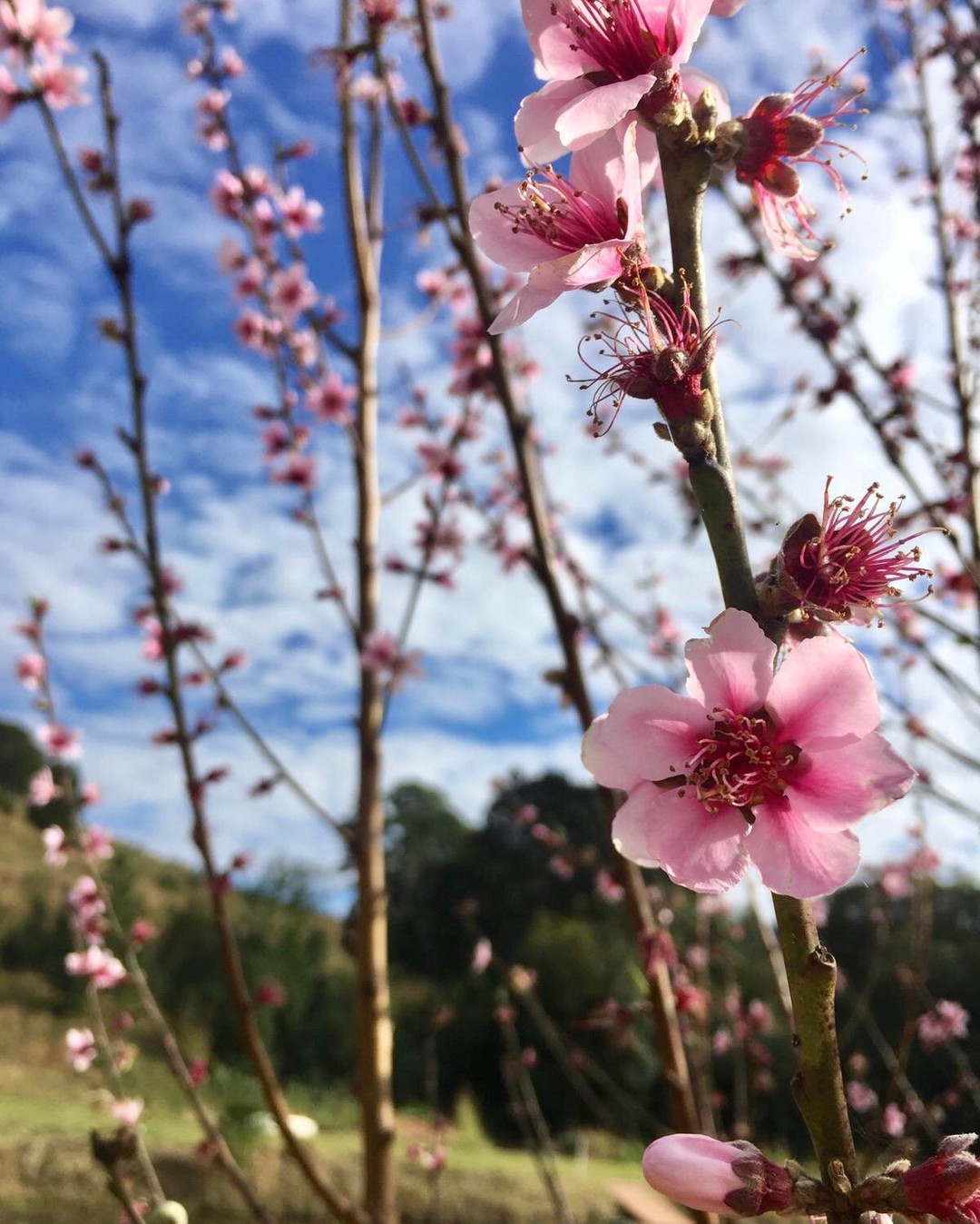 Loving all the beautiful colours that spring time has brought with it