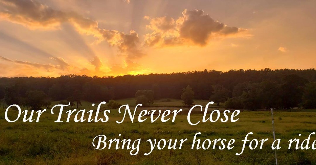 Great activity for over the Thanksgiving weekend. #trailriding #horsebackriding #ridinginalabama
