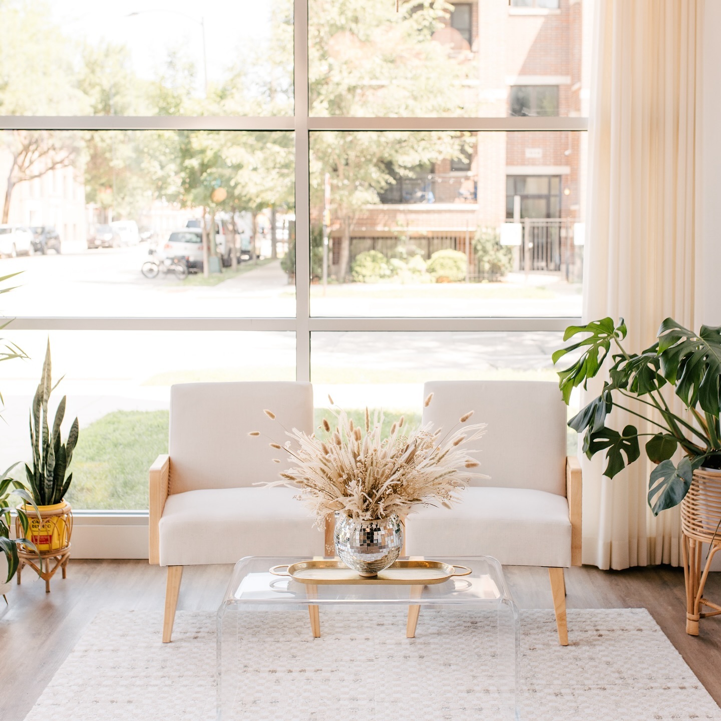 🪩 boho disco vibes 🪩