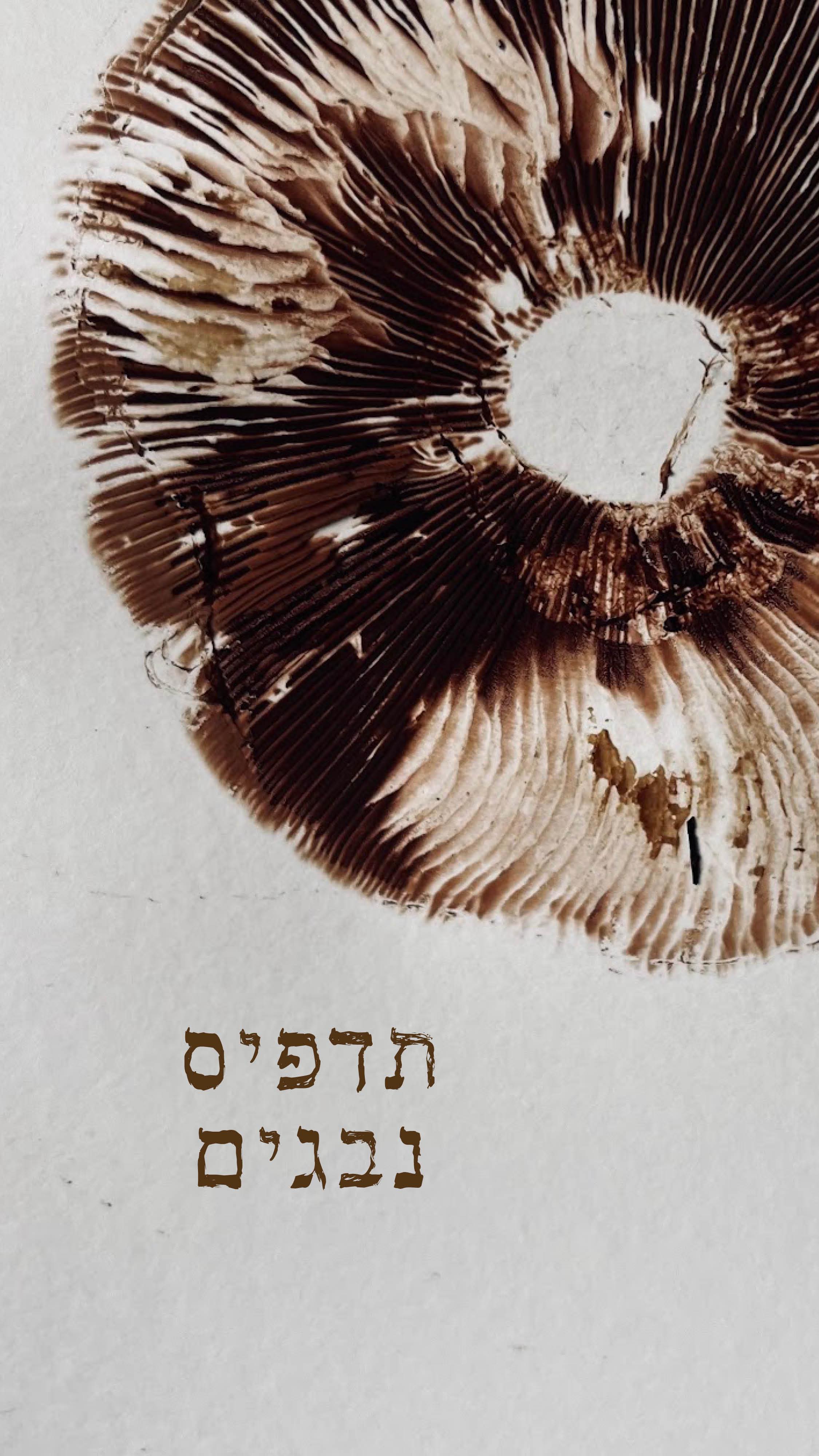 כשרק התחלתי ללמוד על פטריות גרתי בכלל בהודו.
למדתי מהאיטלקים שגרו בגסט-האוס לידי, ומספרים.
לפי הספרים, אחת הדרכים להגדרת פטריות היתה: תדפיס נבגים - מניחים את הפטריה על נייר, כשהדפים שלה פונים למטה, ממתינים כמה שעות ו….
קסם!
את התדפיס אפשר לתלות בבית
או להנות ממנו לכמה ימים ואז לפזר נבגים בסביבה :)
עוד דרך נפלאה להתחבר ליצורים המטורפים והנהדרים האלה 🩷