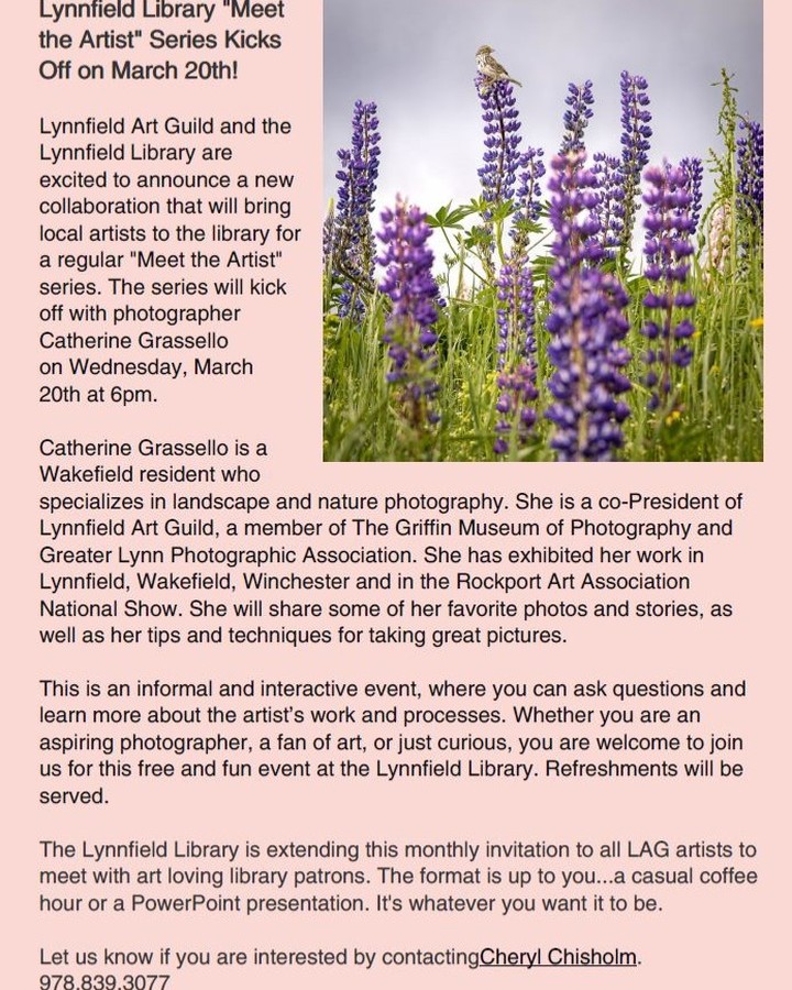 Join me on March 20th at the Lynnfield Library for the first "Meet the Artist" event with the Lynnfield Art Guild. Looking forward to a great evening.