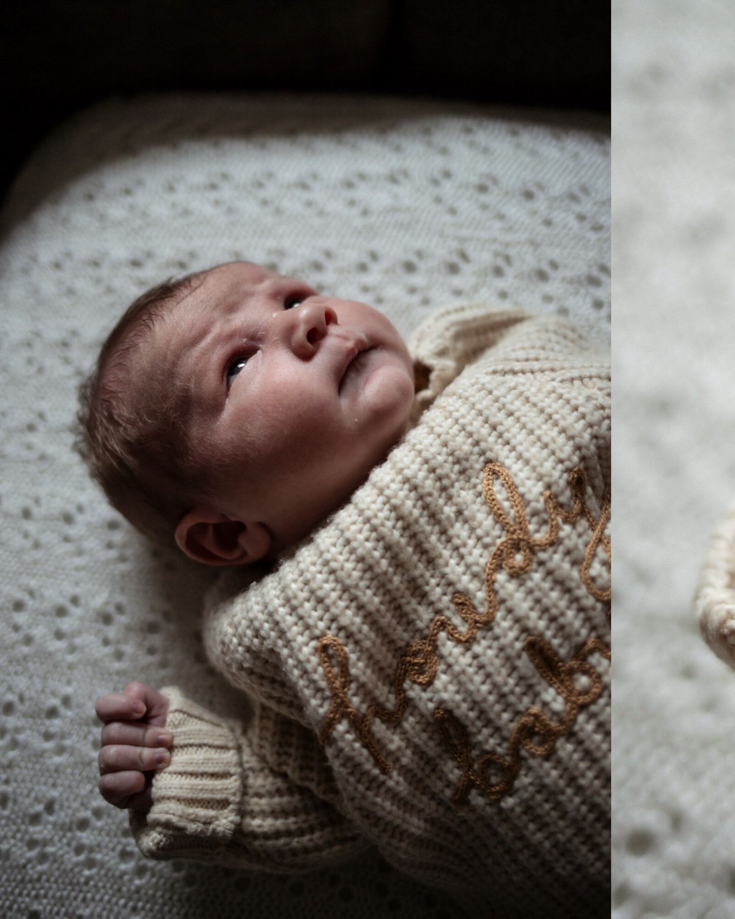 If you're thinking about newborn or family photos, the next few months are perfect timing! I've got plenty of space in my calendar before the 2026 wedding season kicks off and I’d love to capture more families and little ones.
The shoots are really relaxed; they can be at a location of your choice or even at your home so parents, siblings and pets can all get involved.
DM me for more info. 💌