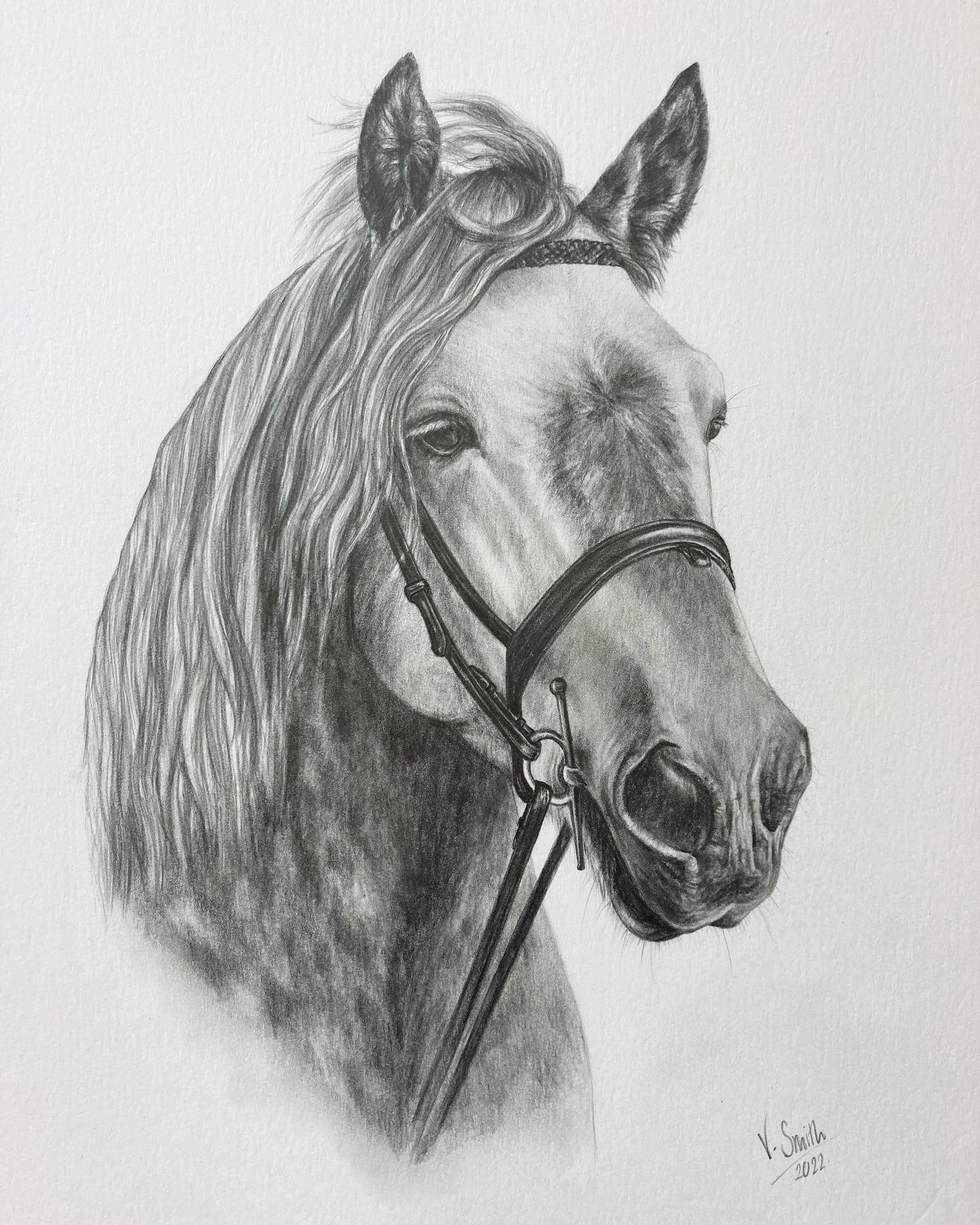 It’s about time I showed you my latest masterpiece…the very handsome Oscar, a very special boy who will be sorely missed 💔 x