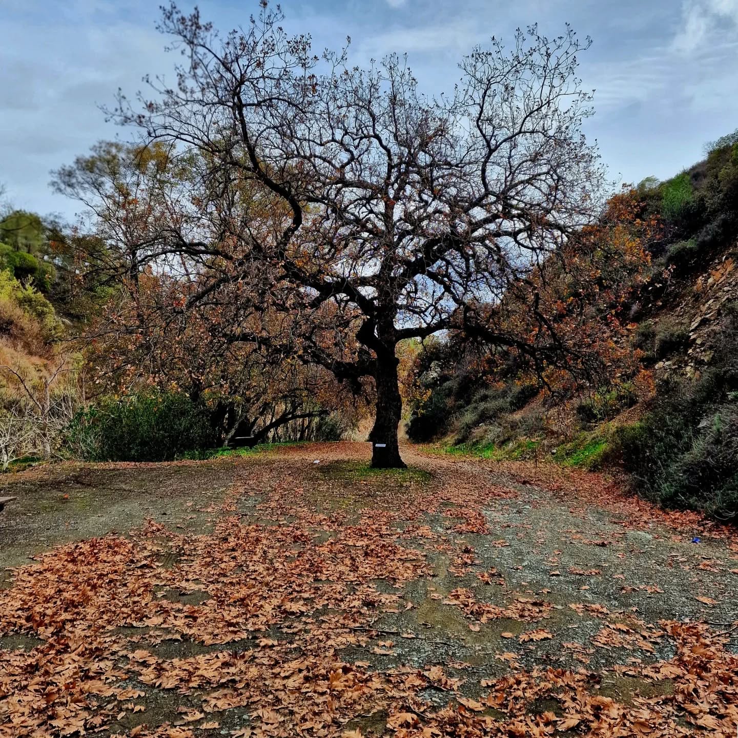 Exploring the beautiful trail In the footsteps of Apostle Paul 🌿
.
.
.
#ThroughMyEyes #DiscoverCyprus #AgiosPavlos #HikingCyprus