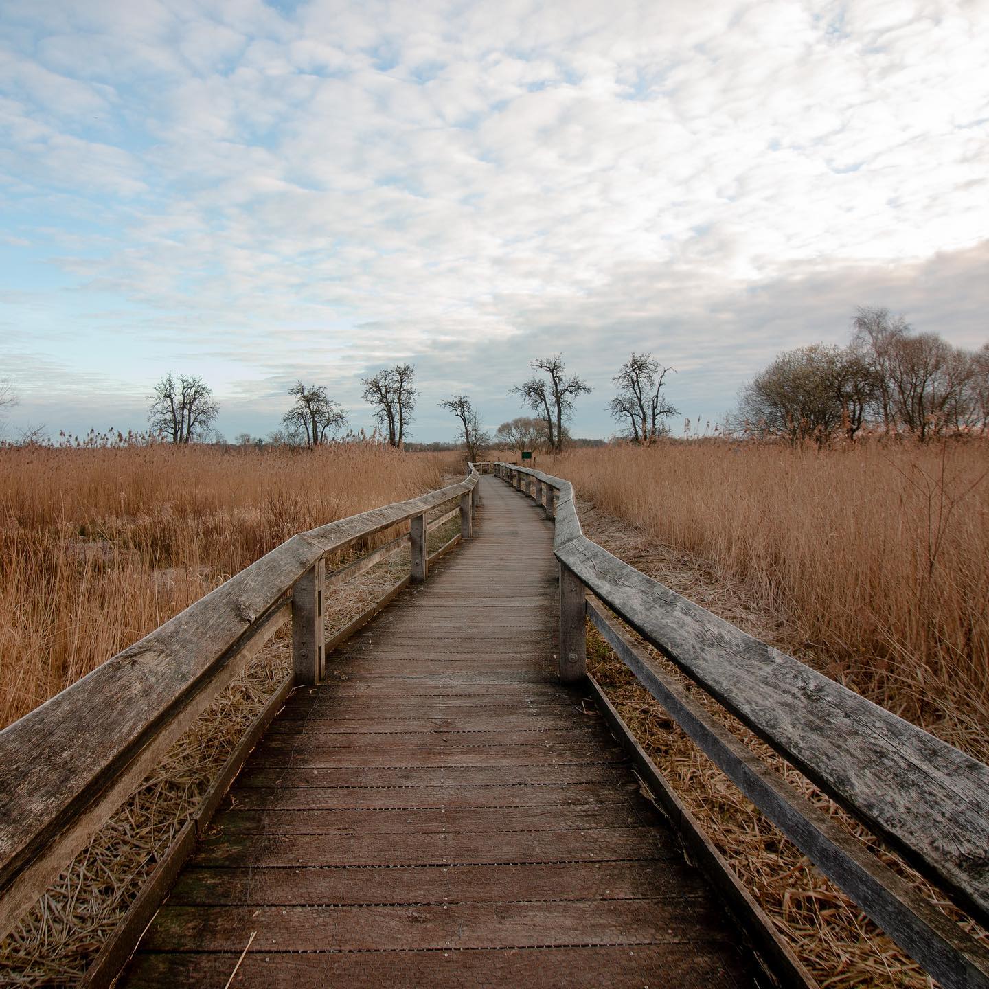 Ich gehe gemeinsam mit dir den Weg der schönen und fließenden Bewegung, bist du bereit? ✨
Habt ein schönes Wochenende ☺️
Bild: @lisas_landscapes
#taichi #qigong #healthylifestyle #rausausdemalltag #gesundheit #persönlichkeitsentwicklung #inspiration #lebenimjetzt #lebensfreude #achtsamkeit #entspannung #achtsamleben #sportzuhause #ausgleich #auszeit #auszeitvomalltag #innerebalance #durchatmen #ausgeglichenheit #taichideutschland #qigongdeutschland #taichiqigong #gesünderleben #gesunderlebensstil #positivevibes #stressbewältigung #selbstliebe #körperbewusstsein