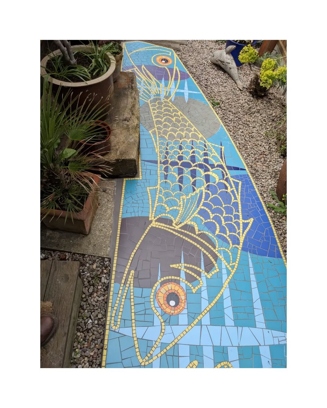 View from the middle - these bright colours and bold shapes really make this area pop!
#fishmosaic #mosaicfloor #mosaicfloors #ihavethisthingwithtiles #ihavethisthingwithmosaics #colourfulgarden #gardenfeature #gardendesignuk #luxurygardendesign