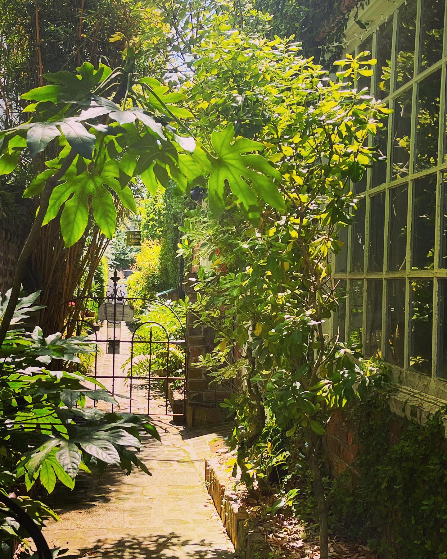 It’s a beautiful day @thehealinggallery to have your acupuncture intake in the garden.
#acupuncture #massage #yoga #holistichealing #charleston