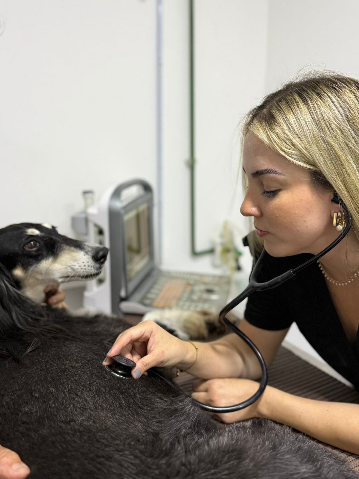 Essa é Zenda, uma Saluki linda de 9 anos, que passou pelo seu check-up completo do coração.
Durante o check-up realizamos o Ecocardiograma e o Eletrocardiograma, exames essenciais para acompanhar a saúde cardíaca, especialmente em cães maduros.
A prevenção é o primeiro passo para uma vida mais longa e tranquila.
Agende você também check-up do seu pet. Cuidar do coração é garantir longevidade e uma melhor qualidade de vida para o seu melhor amigo.