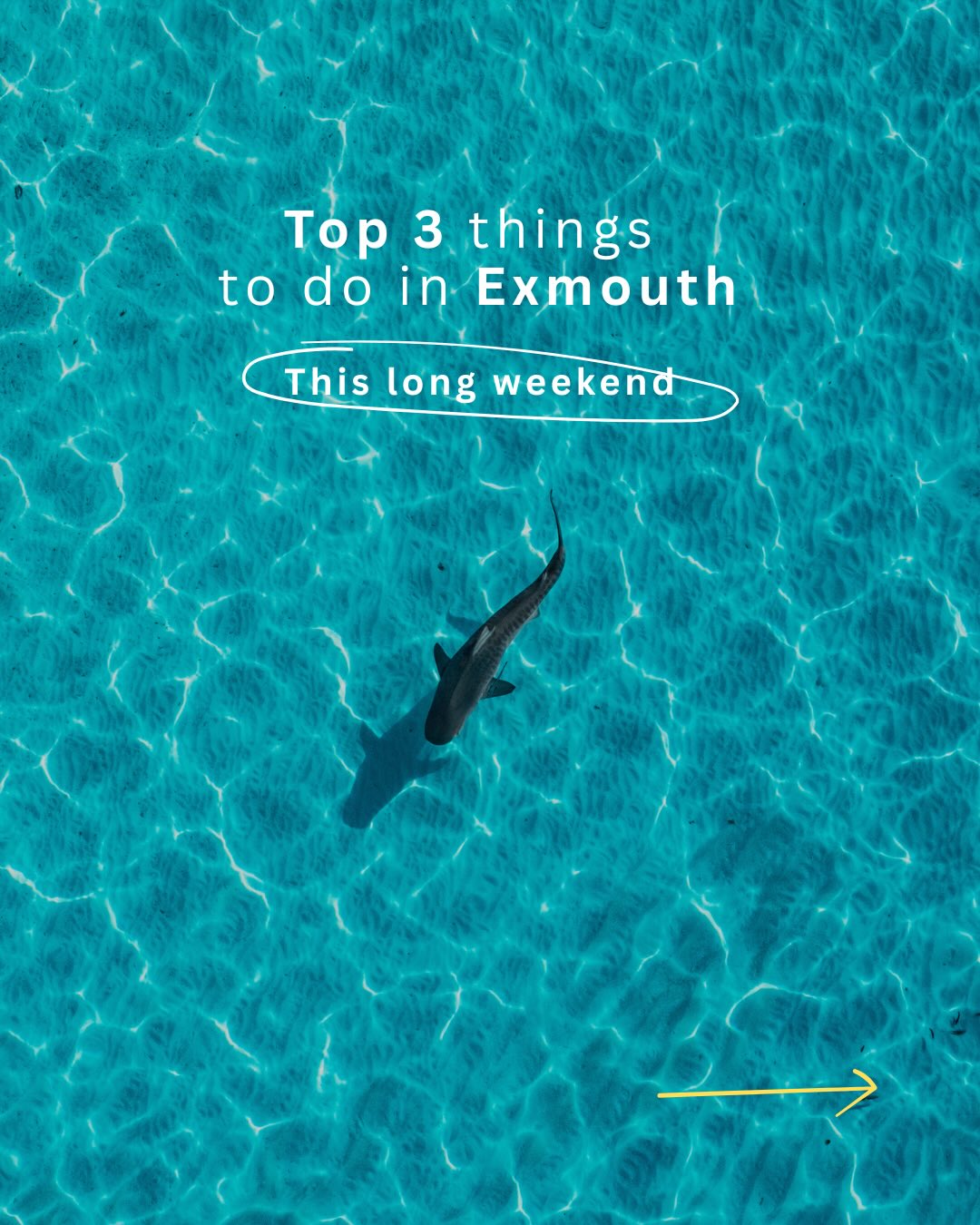 Planning a long weekend in Exmouth?
If you’re heading to Exmouth, these are the top 3 things we think you should do:
• Coral Bay Exclusive - swim with mantas!
• Birds Eye View Microlight flight
• Turtle hatchlings at sunset
Save this for your trip & book ahead! long weekends fill fast.
📷 @ollieclarkephoto @lauratierney
#ExmouthWA #NingalooReef #LongWeekendWA #CoralBay #ExploreWA