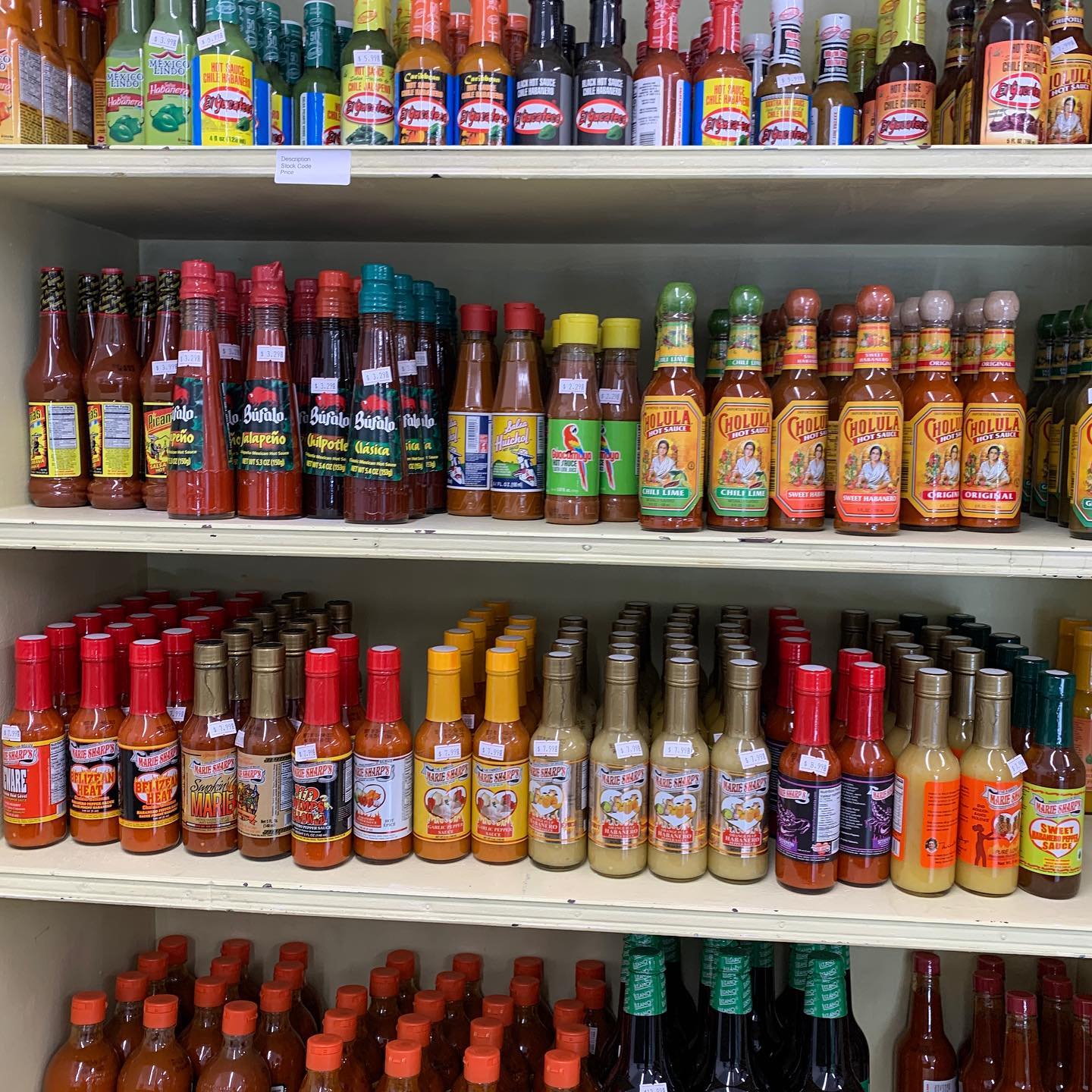 I’ll take one of each please. Now just need to find room in the bus for them…