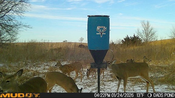 If you haven’t already get those feeders back up! These deer need some high-quality nutrition to recover from the rut and make it thru these cold winter days!! 🦌🥶Find a dealer near you at www.nxtleveldeer.com or give us a call at 308 430 0561