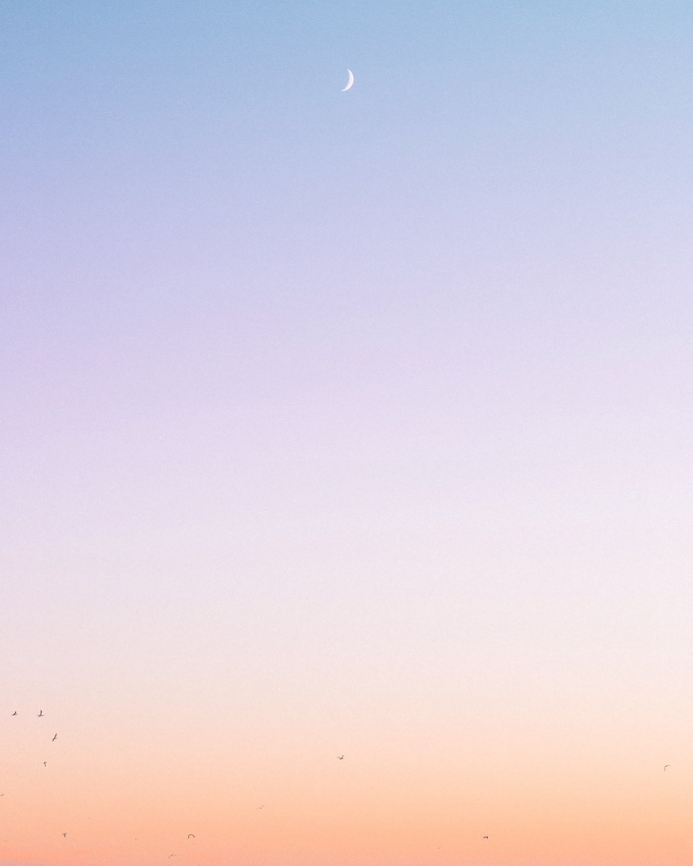 Crescent rise over Nantucket 🌙
#nantucket #seaworthynantucket #crescentmoon #myolympus