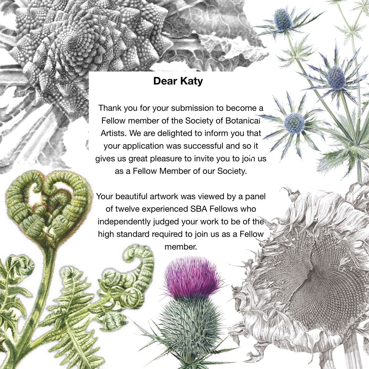Thrilled and proud to have been offered Fellowship of the @societybotanicalartists. I was an honorary Student member for years whilst studying for my SBA Diploma, but I needed to demonstrate dedication to my practice since graduating, so this has been a long journey.
I set my heart on becoming a Fellow back in 2019 when I applied for the course, noting that there was a clear path to recognition from an esteemed worldwide society with benchmark standards of excellence. It’s been such a wonderful learning experience, with so many friends made along the way. I’m delighted to be (officially) part of this warm and welcoming community! Early Christmas gift indeed.
Congratulations to all my newbie Fellows, I’m excited to see everyone’s beautiful applications being shared online @societybotanicalartists (<give them a follow if you don’t already!)
#societybotanicalartistsfellow #societyofbotanicalartists #botanicalart #botanicalillustration #surreyartist #sbafellow #ukartist #plantart #plantartist