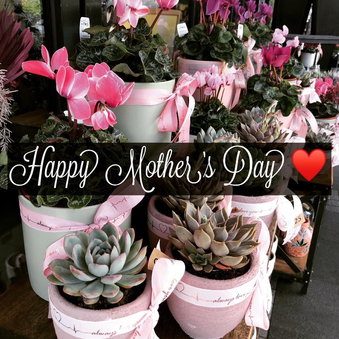 If evolution really works, how come mothers only have two hands? 😅 Big hugs for all the mums out there!
#mothersday #centralcoastnsw