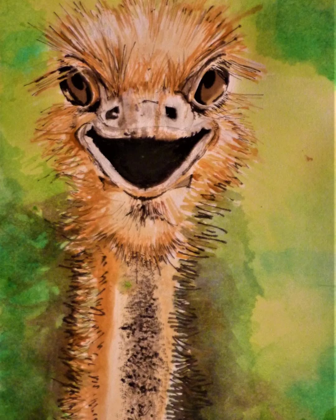 Laughing Ostrich.
Watercolour, Brusho, ink.
This powerful, flightless, African bird boasts the most resilient immune system never gets sick.
Its strong legs can sprint up to speeds of 35 miles an hour. They balance on just two toes, the longer of which has a deadly hook.
Ostriches are known to defend themselves against predictors such as a lion or cheetah, striking them with a fatal kick.
They have the largest eyes, measuring two inches across. When danger comes they don't bury their heads in sand as some people think, but lie down to lower their heads just above the ground.
They use their wings to scare off their enemies, as brakes when running, or to help their temperature regulation.
What can we learn from them? They are not as cowardly as we think!
#watercolourillustration #watercolours #watercolourartist #watercolourpainting #ostrich #africanwildlife #africananimals #watercolourart #africanconservation #africansafari #bird #immunsystem #artistsoninstagram #creation
