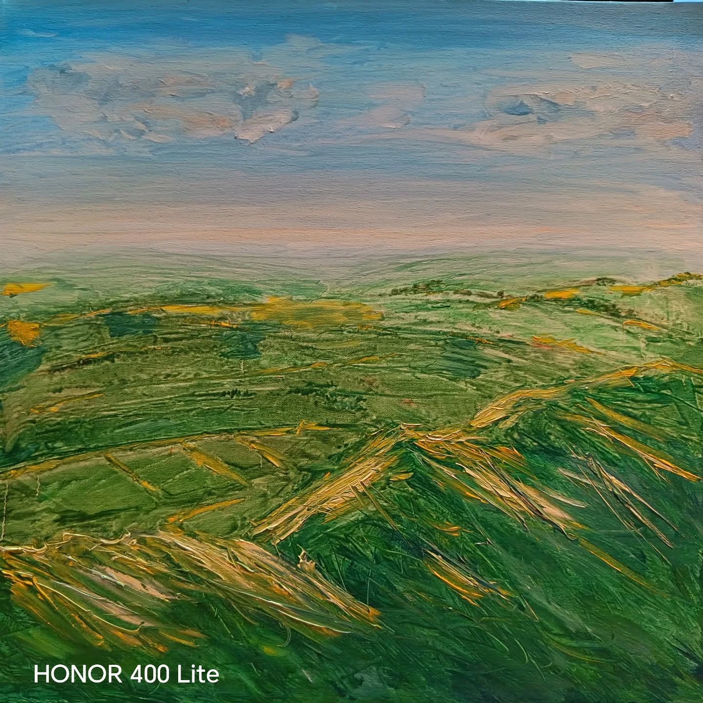 "L'Eco dell'Orizzonte"
"C’è un momento preciso, alla fine di una salita, in cui il respiro si calma e il mondo sembra fermarsi per lasciarti guardare.
Questo dipinto è il custode di un mio ricordo: le lunghe passeggiate solitarie tra le colline inglesi, quando il cielo decide di farsi da parte per lasciare che sia la terra a brillare. Ho voluto che la tela non fosse solo una finestra, ma un’esperienza tattile. Ho steso il colore con forza, creando rilievi e solchi, perché la natura non è mai liscia; è densa, è viva, è faticosa e magnifica.
E poi è arrivata la luce. Quei tocchi dorati sulle creste sono l'istante in cui il sole saluta le valli, trasformando il verde profondo in un bagliore che sembra quasi bruciare. Rappresentano quel calore che senti addosso mentre sei lì, in cima, da sola, in una contemplazione che non ha bisogno di parole.
Dipingere questo paesaggio è stato come tornare su quella collina: ritrovare quel silenzio, quel vento leggero e la consapevolezza che, davanti alla vastità della natura, non siamo mai davvero soli. È la mia risposta alla bellezza che ho avuto il privilegio di osservare."#PitturaMaterica #TramontoInglese #EnglishCountryside #ContemporaryArt #artcollectors