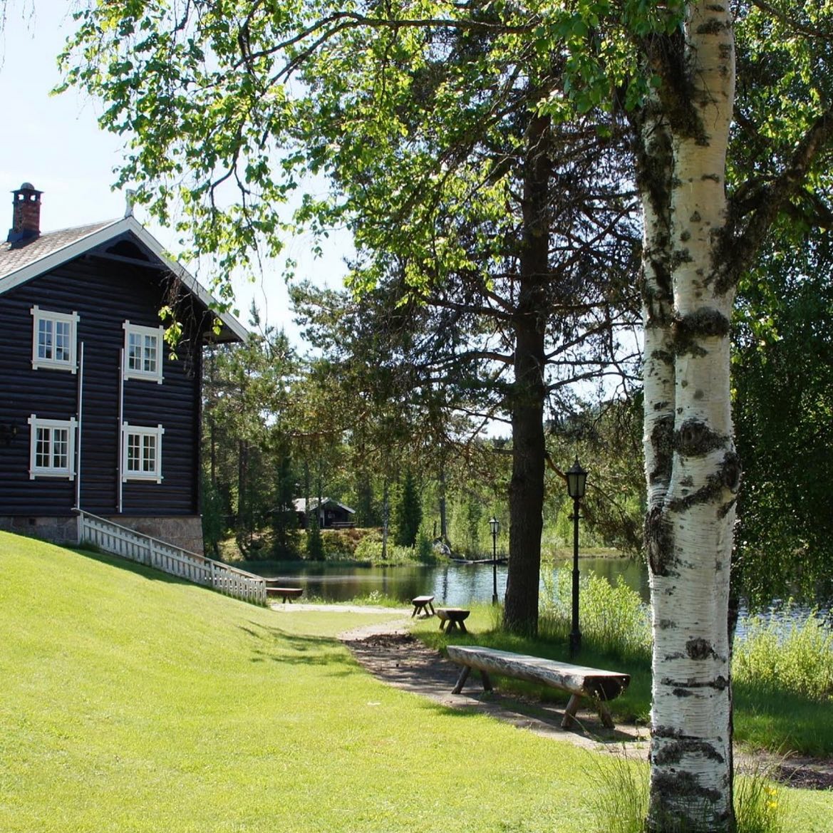 Idyllisk ved vannkanten av et stort tjern i den ville, vakre naturen i Stange kommune finner du oss / Idyllic by the water's edge of a large pond in the wild, beautiful nature in Stange you will find us. 🌿#nature #care #norway #homesweethome #repect #stangekommune