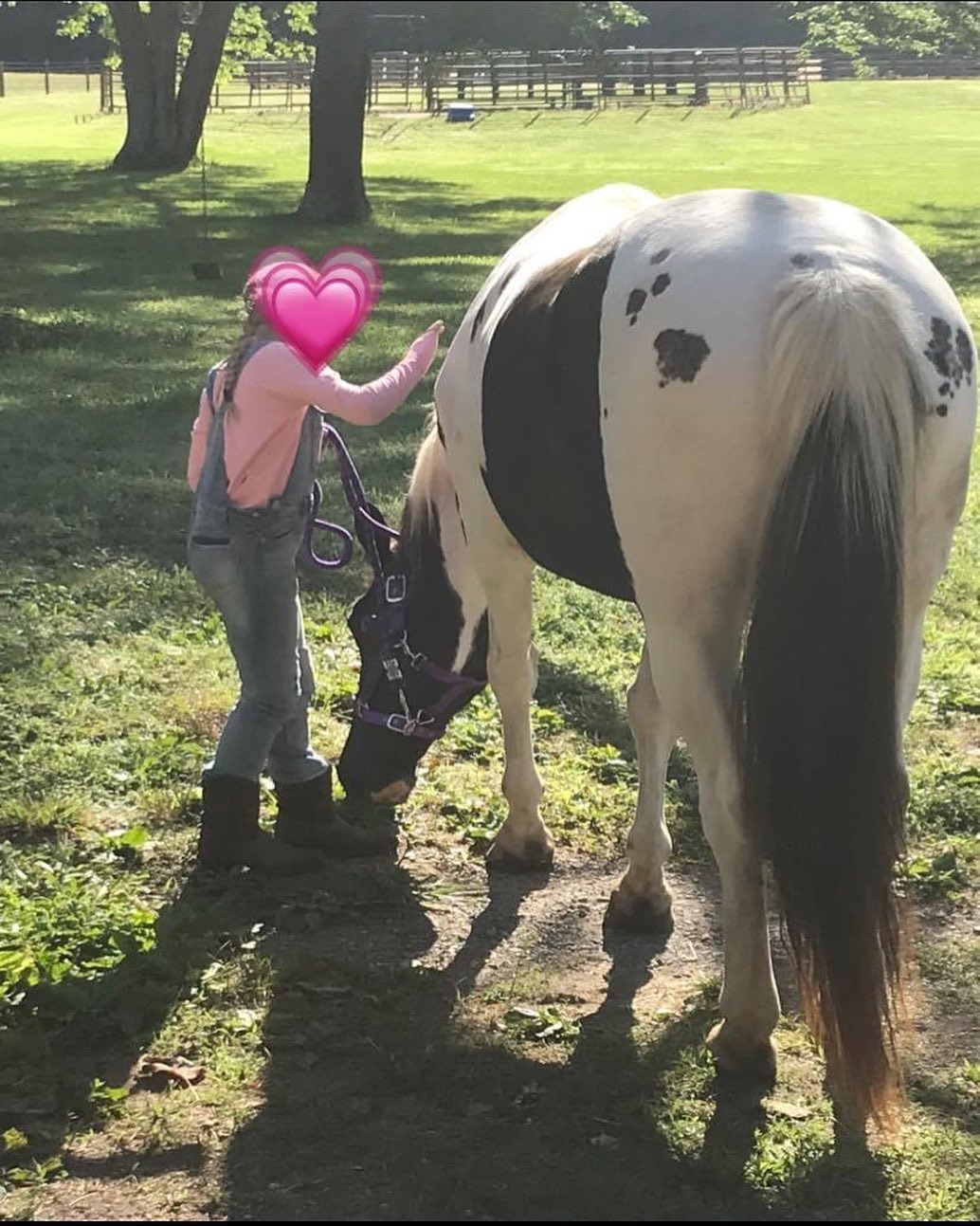 I am looking for a unicorn. Not of the equine species, but human. 😊🦄
I have a mare on my farm who is in need of a new owner. She is the sweetest thing, is an amazing therapy horse, and great with kids, but cannot be ridden. She is 19, a Missouri Fox Trotter, gorgeous, and has a bestie here… and I would love to keep them together if at all possible!
She is pretty low maintenance. Pasture board, two front shoes.
Message me if you are interested in becoming part of our Blazer Farm family and giving a pretty “Lady” the love she deserves! 💞