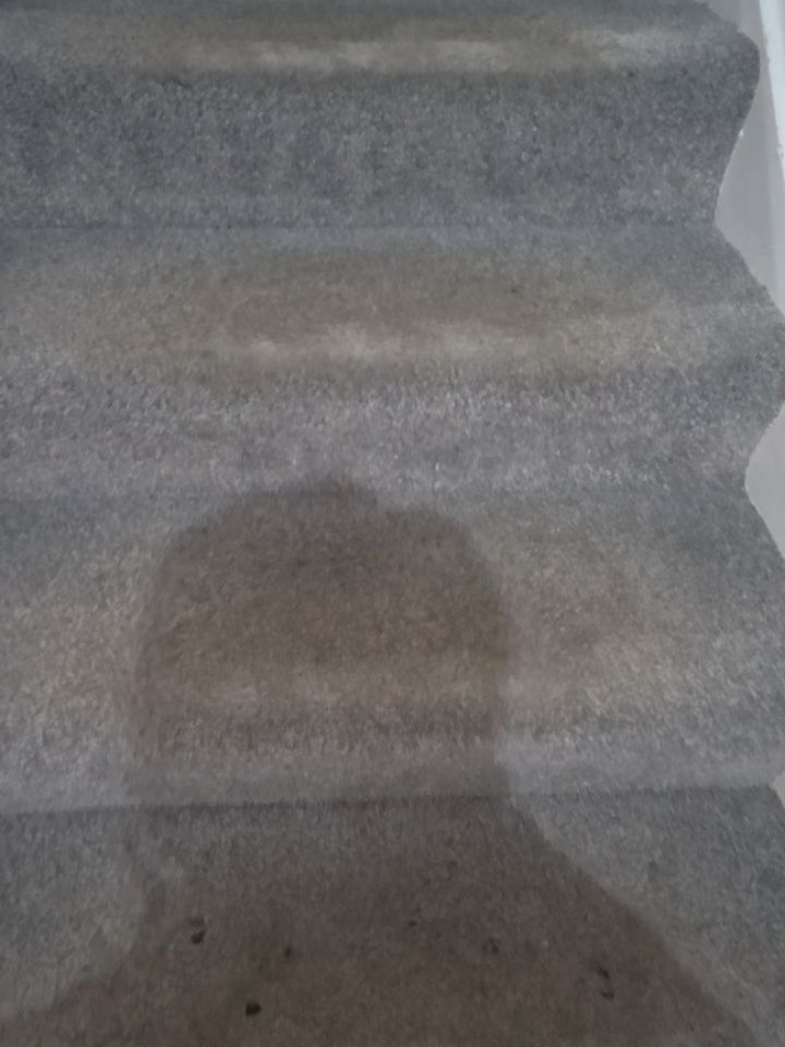 Another fresh carpet clean.
Done by the PPHS textile cleaning team..
Perfection in our name.perfection is our aim..
#carpetcleaning #carpetcleaningessex
#southend