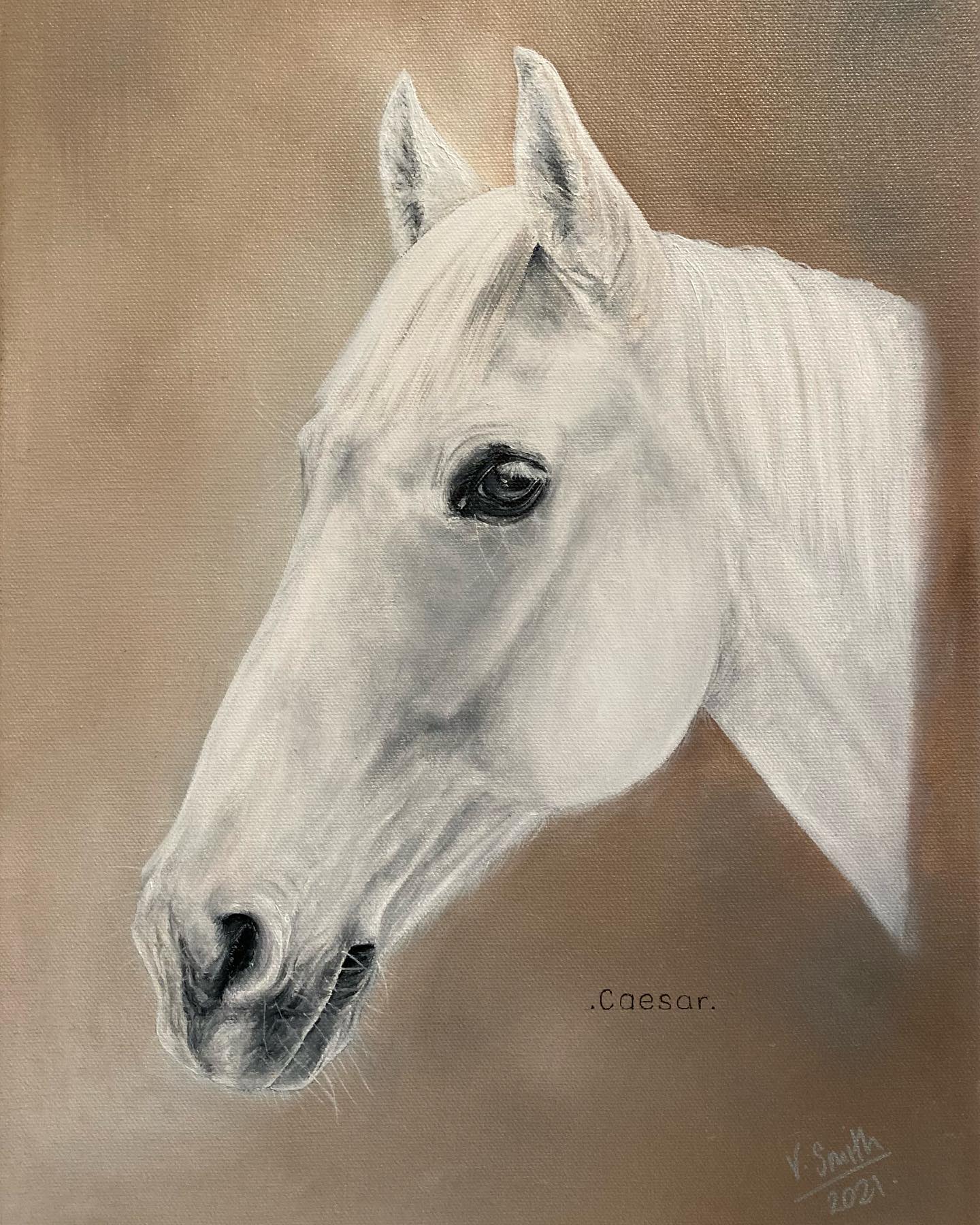 The gorgeous Caesar - he has such huge similarities in terms of looks and personality to one of my most cherished pony’s, ‘Chit Chat’ - no wonder he was such a pleasure to paint! This portrait is now in Kenya in the hands of his little rider!