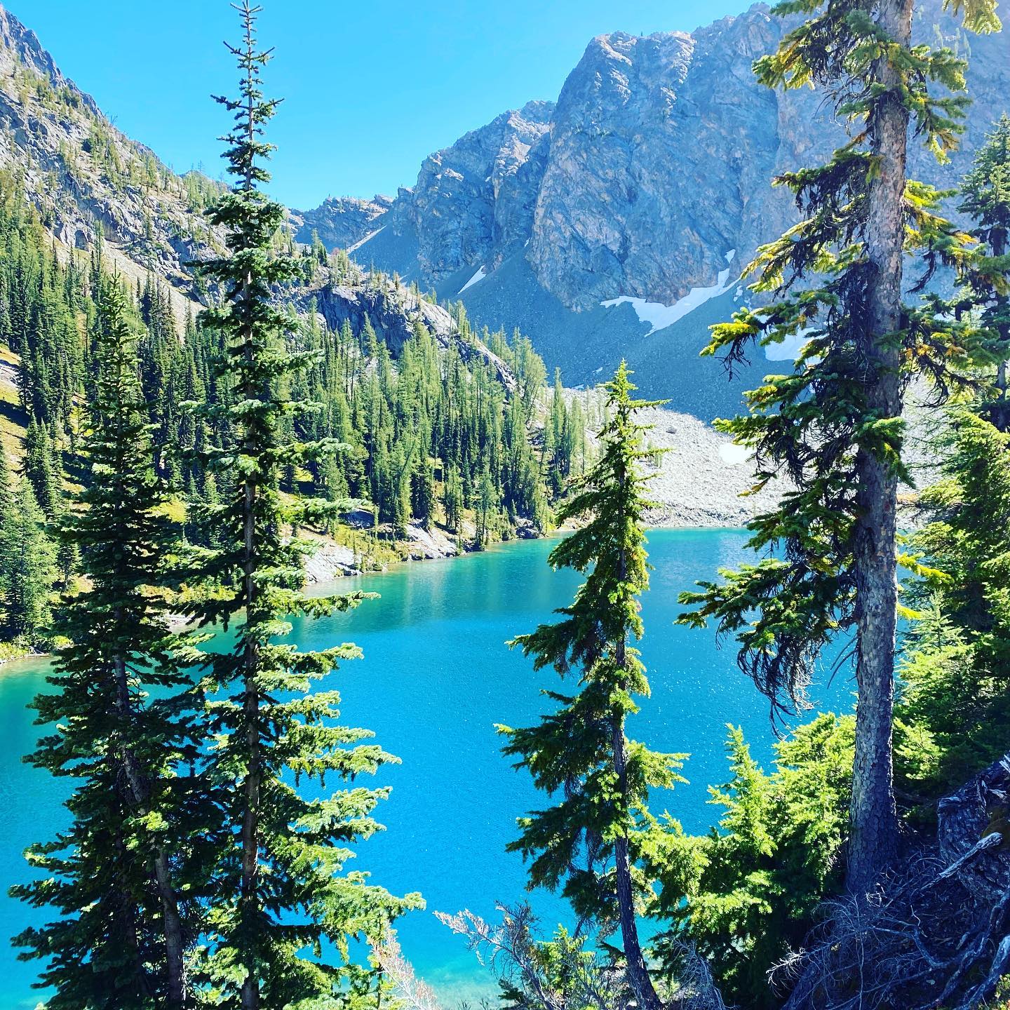 It’s only a 4.6 mile hike to Blue Lake in North Cascades National Park! Check out the blog for more information on this hike and other favorites within the park from our PNW guest writer - link in bio.
📸: @pnw.hiking.trails