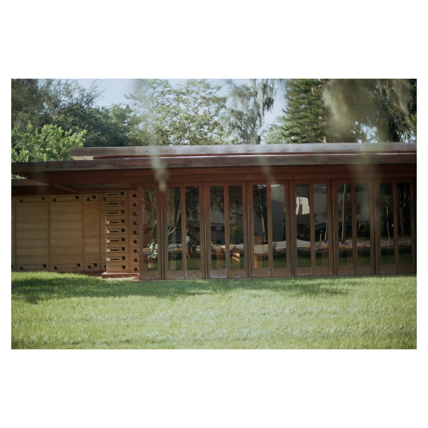 Florida Southern College by Frank Lloyd Wright
📷: canon ae-1 / kodak gold 200
#ae1 #35mm #canon #canonae1 #kodak200 #kodak #kodakgold200