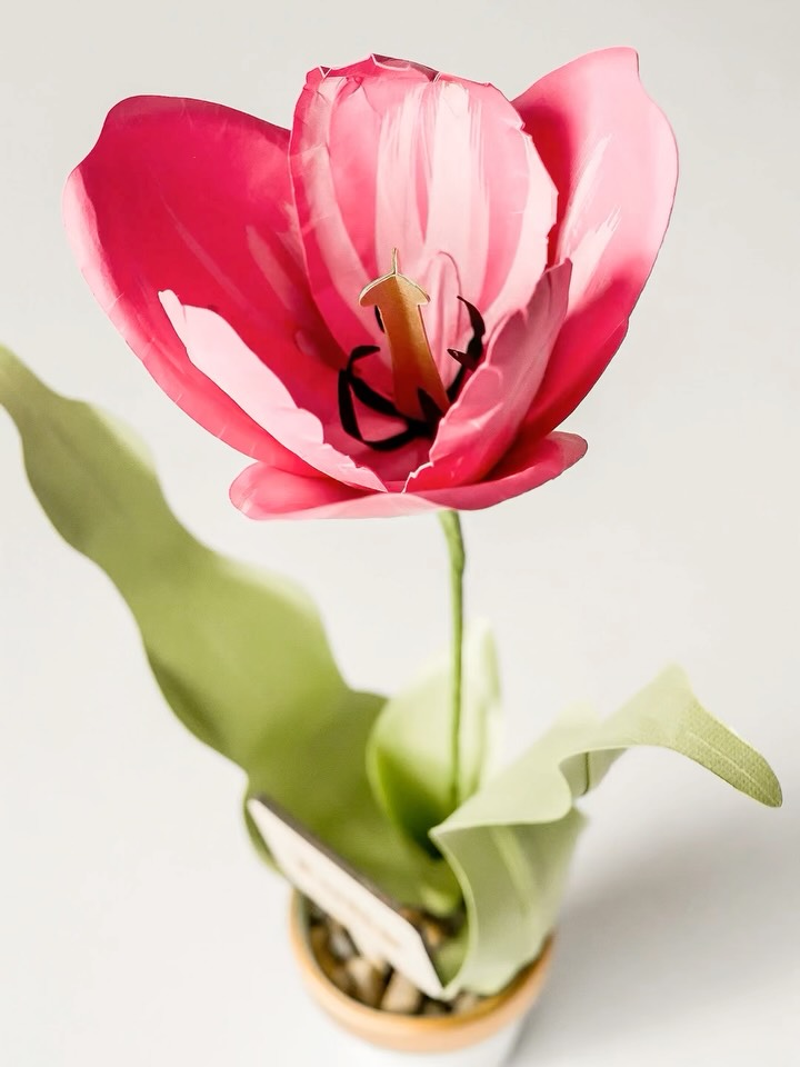 The generative AI in @adobe Premiere is pretty cool ✨
Quick disclaimer: the first clip is animated buuuut when you make the actual flower, you can really open and close it—we added wire to make that happen 💝
The template is available in our shop. Click the link in our bio, or comment TULIP and we’ll send the link straight to your inbox 📥
The 2nd and 3rd images are not AI
#paperflowers