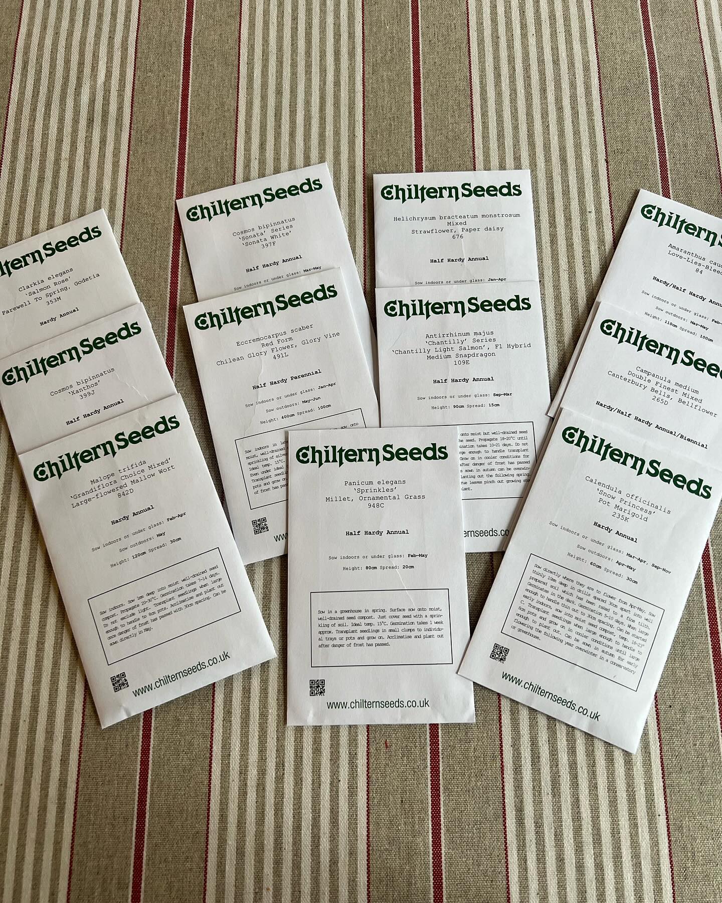 Raring to sow, thinking of all the pretty things to come. Not tempted outside today much as it’s pouring down again. Time to bake a rhubarb and ginger cake instead #sowingseeds #rainyengland #gardenersofinstagram🌱 #februarysowing