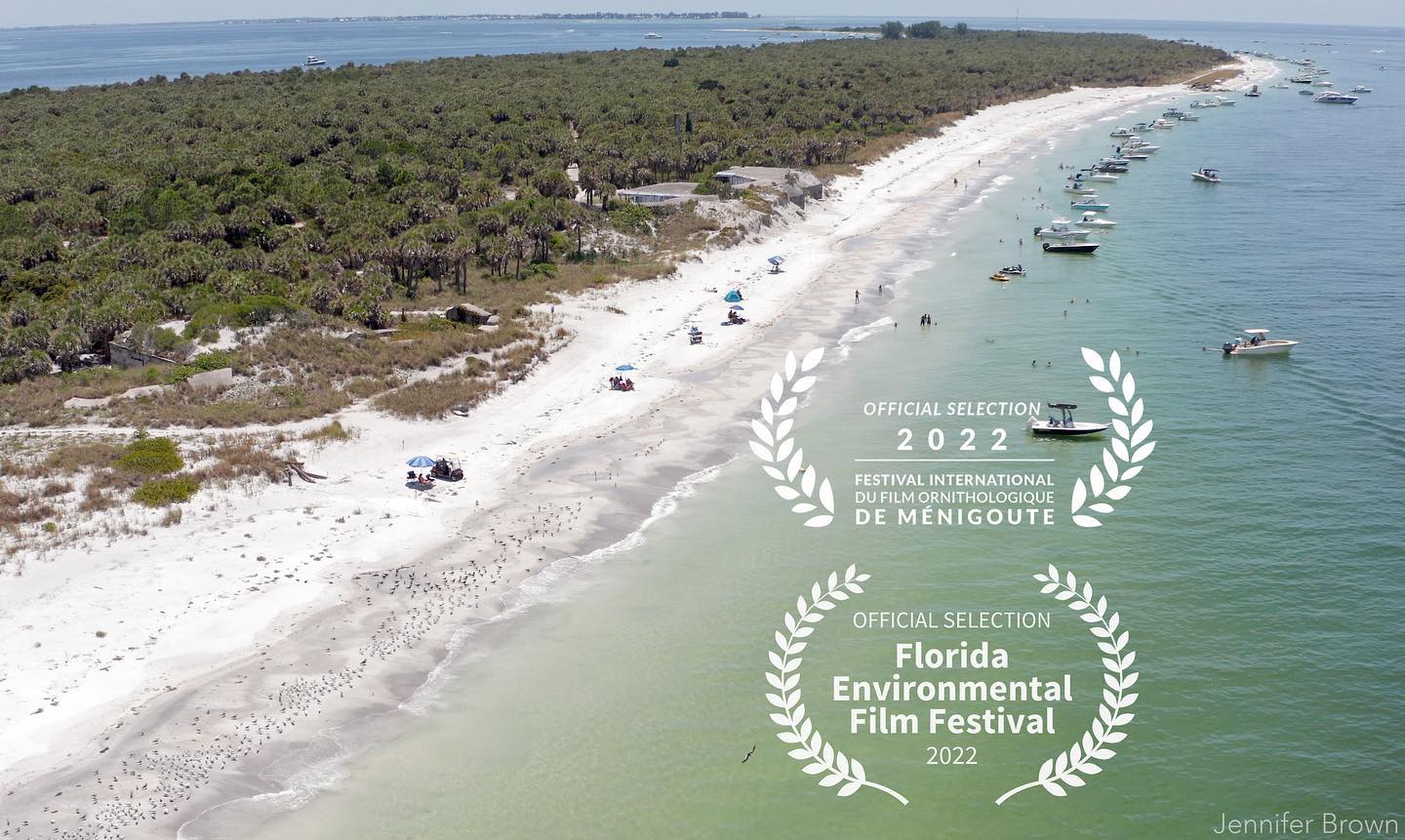 One of our recent projects, ’Where Birds Can Be Birds’, is an official selection for the 38th annual Festival International du Film Ornithologique Ménigoute in France.
We are thrilled to attend the screening next Saturday, October 29, in France!
This unique festival attracts 40,000 people over six days for art, film, nature, and forums.
Barbara Howard, President of the Friends of the Tampa Bay National Wildlife Refuges and Executive Producer, says in the film, "There’s not many places that are left in the Tampa Bay area that can take care of these birds. The beaches have their condos. Egmont Key is a great place as well as the Pinellas Refuge and Passage Key for the birds to go where they can just be themselves.” @fifomenigoute @otthouseaudio @kimheiseart