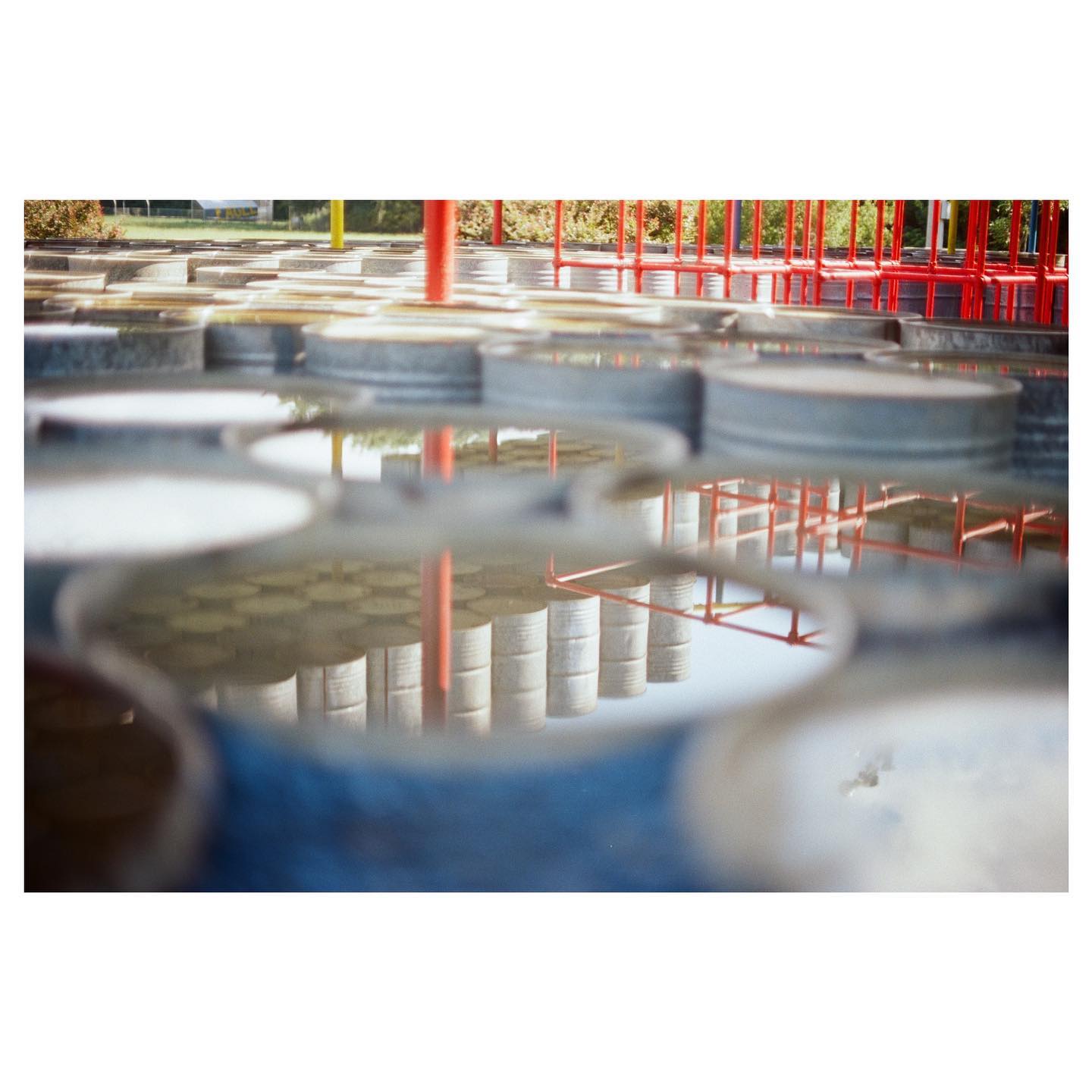 @ rural studio / reflection
📷: canon ae-1 / kodak ektar 100
#ae1 #35mm #canon #canonae1 #ektar100 #kodak #kodakektar100