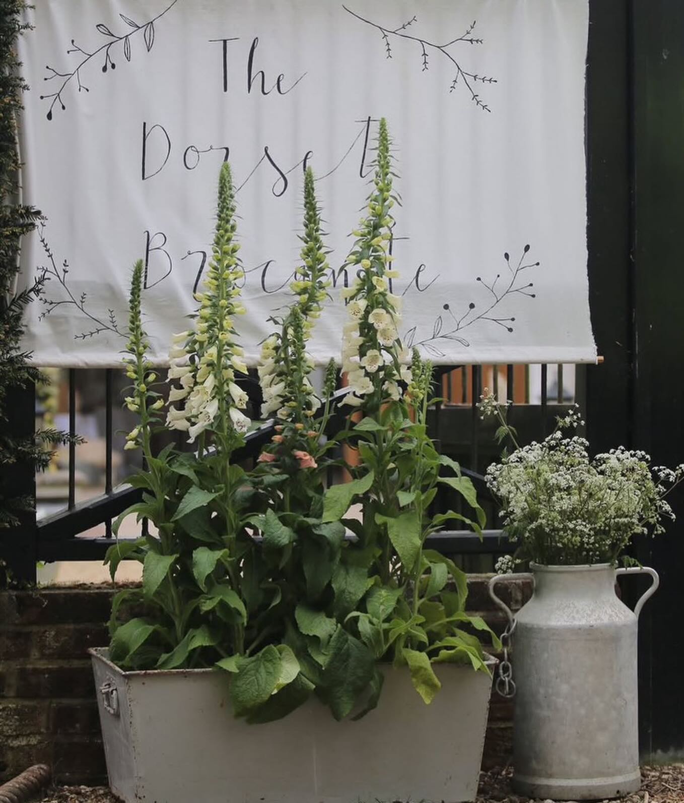 Spring Online Brocante 🌿
Join us in a few weeks for our next fair
Fri - Sat 6 - 7th March 🌿
Easing us into spring with the chance to shop for the new season, spring inspired homewares & interiors, Brocante finds & vintage treasures, alongside textiles & stationery 🌿
Save the date & join us then 🤎
Please DM for more details or look at our website- see link above 🌿
#springhome #vintagefair #brocantefinds #shopindependant #vintagetreasures