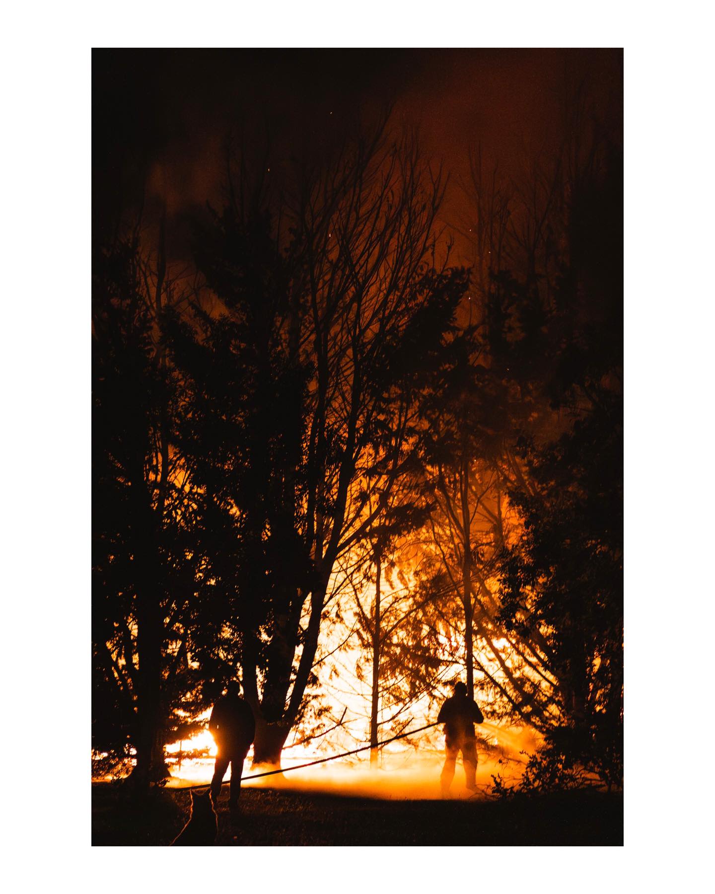 At 2am last night we awoke to the house next door on fire. Luckily someone had spotted the fire driving past and called it in and our amazing CFA were on the scene very quickly and had the fire under control soon after preventing it spreading any further. There was no one home in the house at the time and no one was hurt.
A massive massive thank you to all the volunteer firefighters from the area who came out in the early mornings to put the fire out and keep everyone safe 🙌