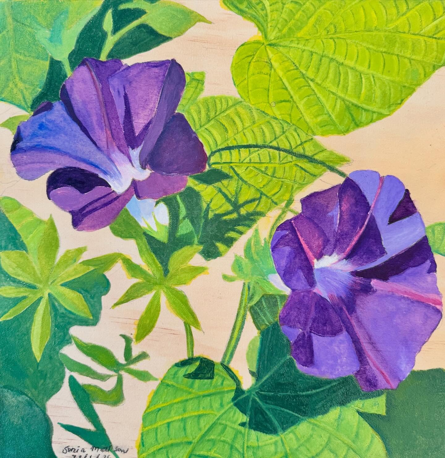 ‘Morning Glory II’ oil on wooden panel 30.5 cm x 30.5 cm x 2.5 cm. I had to paint another of these gorgeous flowers- just love them. #garden #oilonwoodenpanel #wildflowers #morningglory #flowerstagram #floralartwork