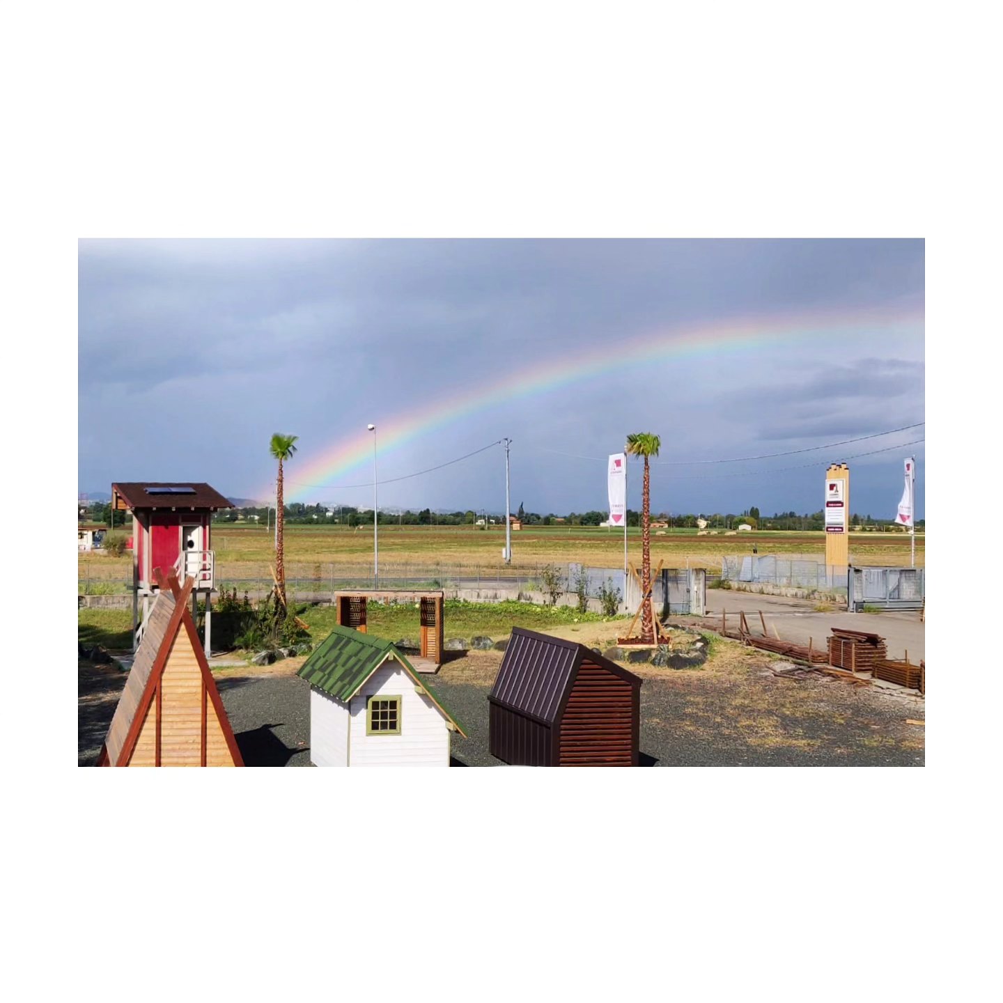 Questa pioggia non ci ha regalato solo il fresco 🤩