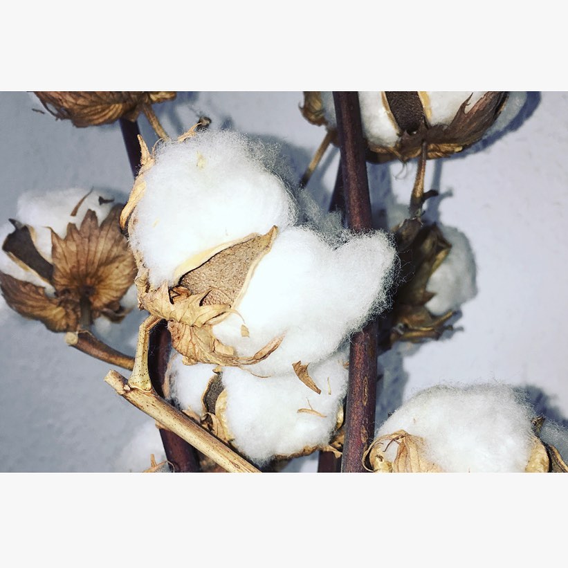 baumwolle - der kuschelige nadó bezug ist aus baumwolle und kann bei 60° gewaschen werden.
baumwolle ist ein nachwachsender rohstoff mit vielen vorteilen wie z.b.
• temperatur- & feuchtigkeitsregulierend
• weich und hautfreundlich
• pflegeleicht und widerstandsfähig
• stark saugfähig
• uvm.