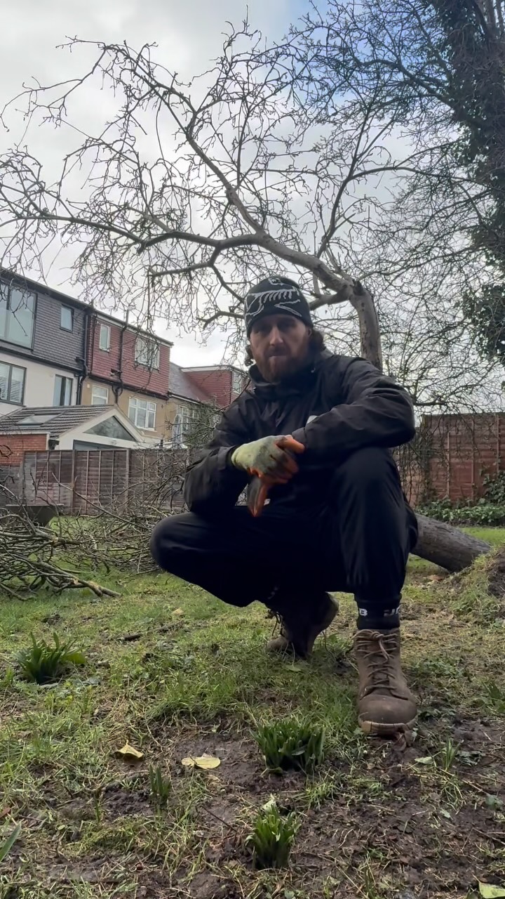 Tree removal from today - love this type of work. Focused on keeping a clear and organised workspace when dealing with brash volume. #Arborist #gardener #selfemployed