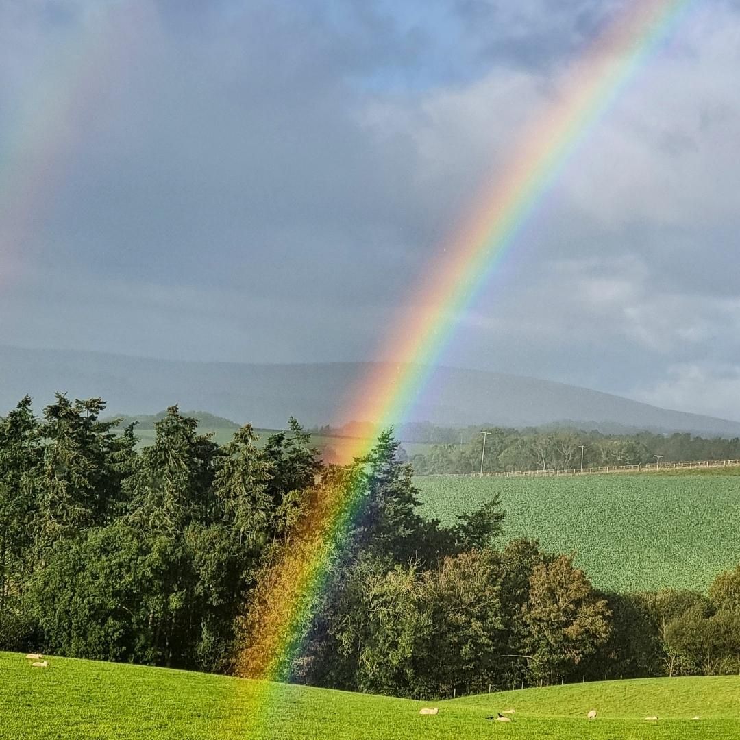 Think I have found the end of the rainbow....
#Dartmoor #lovedartmoor #visitdartmoor #photooftheday #beautiful #rainbow #potofgold #peace #makeawish