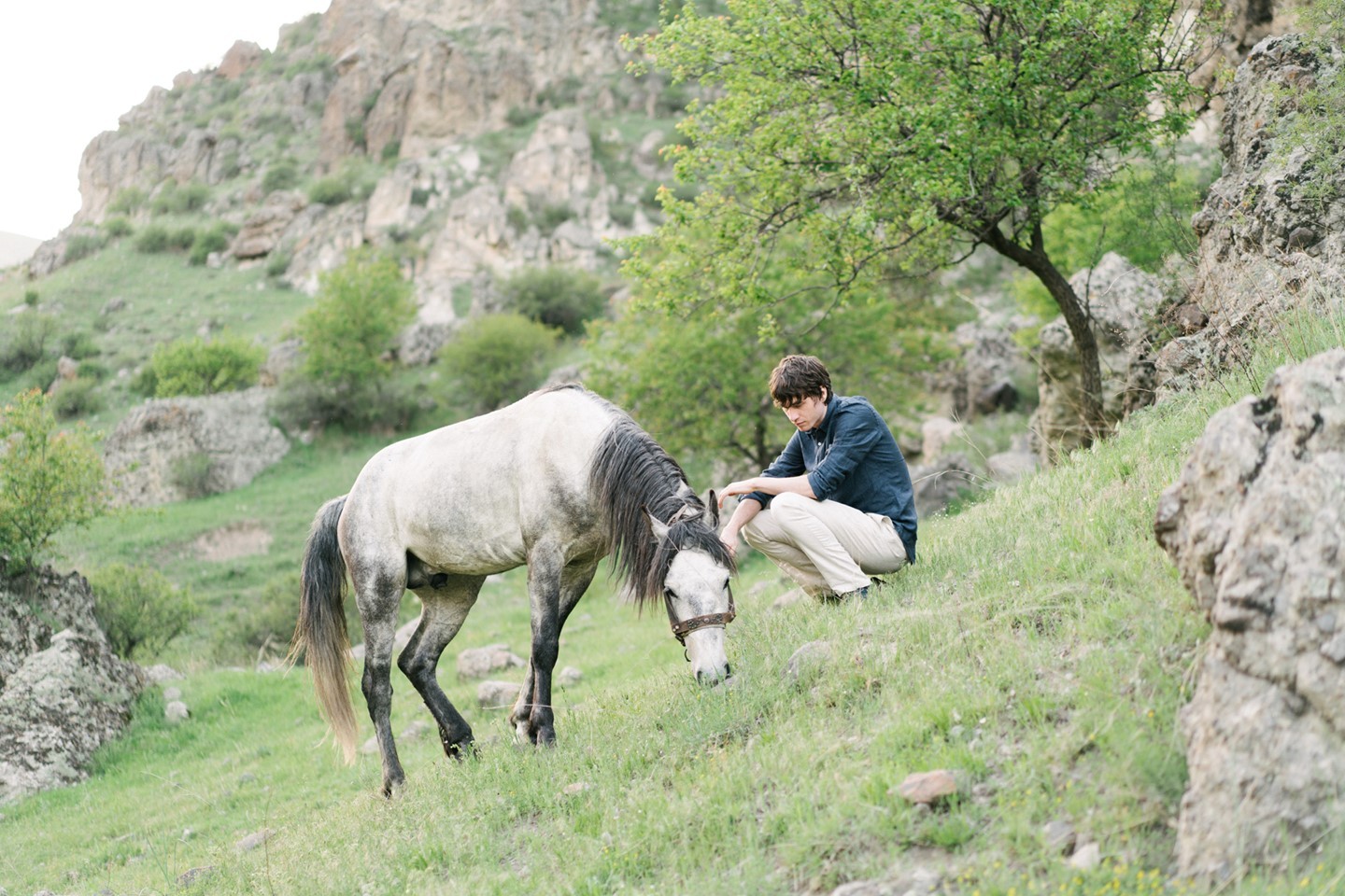 ☝🏼Do you know that some horses eat dirt? 😮
We all know that our horses eat grass, but have you ever noticed your horse munching on dirt?
Here are some reasons behind this:
1️⃣The particles in dirt can help keep the teeth smooth and file sharp points on the horse’s teeth.
2️⃣ The microbes in dirt help break down the fiber in forage for digestion. So it helps in their digestion!
3️⃣The clay in dirt helps when our horses have a painful tummy. The clay absorbs the bad substances in the gut and will later exit the body.
4️⃣If they are hungry or dehydrated. Ensure your horse has plenty of hay and grass to eat and access to clean, freshwater.
So ladies and gents, the eating of dirt often helps our four legged best friends, (as long as you know they have access to fresh grass and water.) 🐎
Saddle Trader is an online marketplace, where you can buy and sell saddles. Go to the link in our bio to find out more.➡️
#saddlesforsale #equestrian #equestrianfacts #horsesarelife #ilovemyhorse #horseridinguk #albionsaddles #jumpsaddle #showjumping #workinghunter #equitation #equipe # #saddles #horsesaddles #girlsthatride #horserider #countrylife #myhorseisthebest #saddleforsale #adjustablesaddle #equinehour #equine #tacktuesday #adayinthelifeofasaddlefitter #equestrianlife #horsesofinstagram #horses #saddlefacts #saddler #equestrians