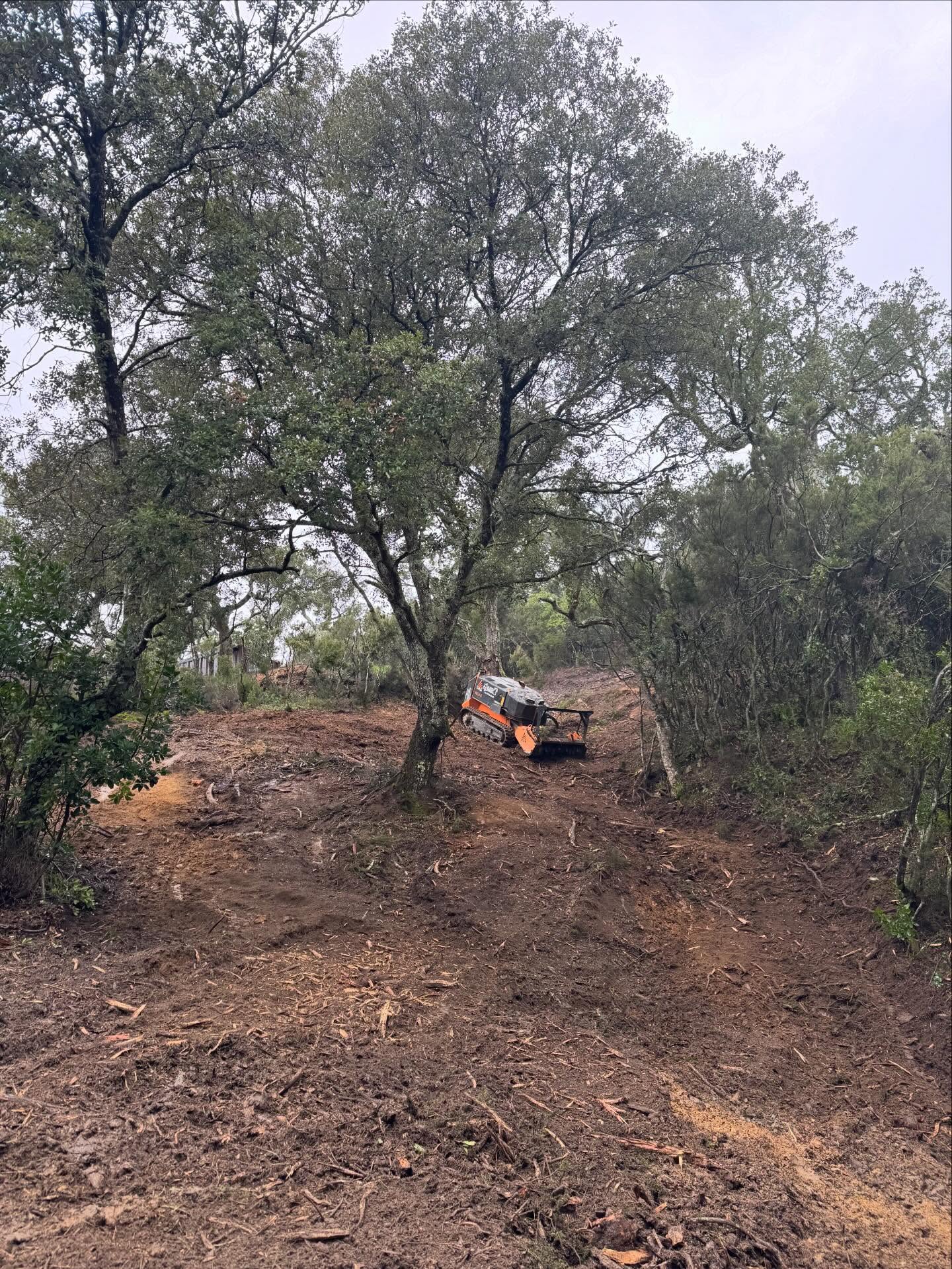 Débroussaillement à plus de 35 degrés de pente !!!
Encore un joli debroussaillage réalisé grâce à notre robot, avec une végétation allant jusqu’à 15cm de diamètre et d’une hauteur de 3m tout ça avec une pentes moyenne de 30 degrés
N’hésitez pas à nous contacter pour tout type de debroussaillage @fae.equipment @nicolaspastrepro @dmtp83480 #treeworker #robotfae #faercu55 #debroussaillage #travauxforestiers