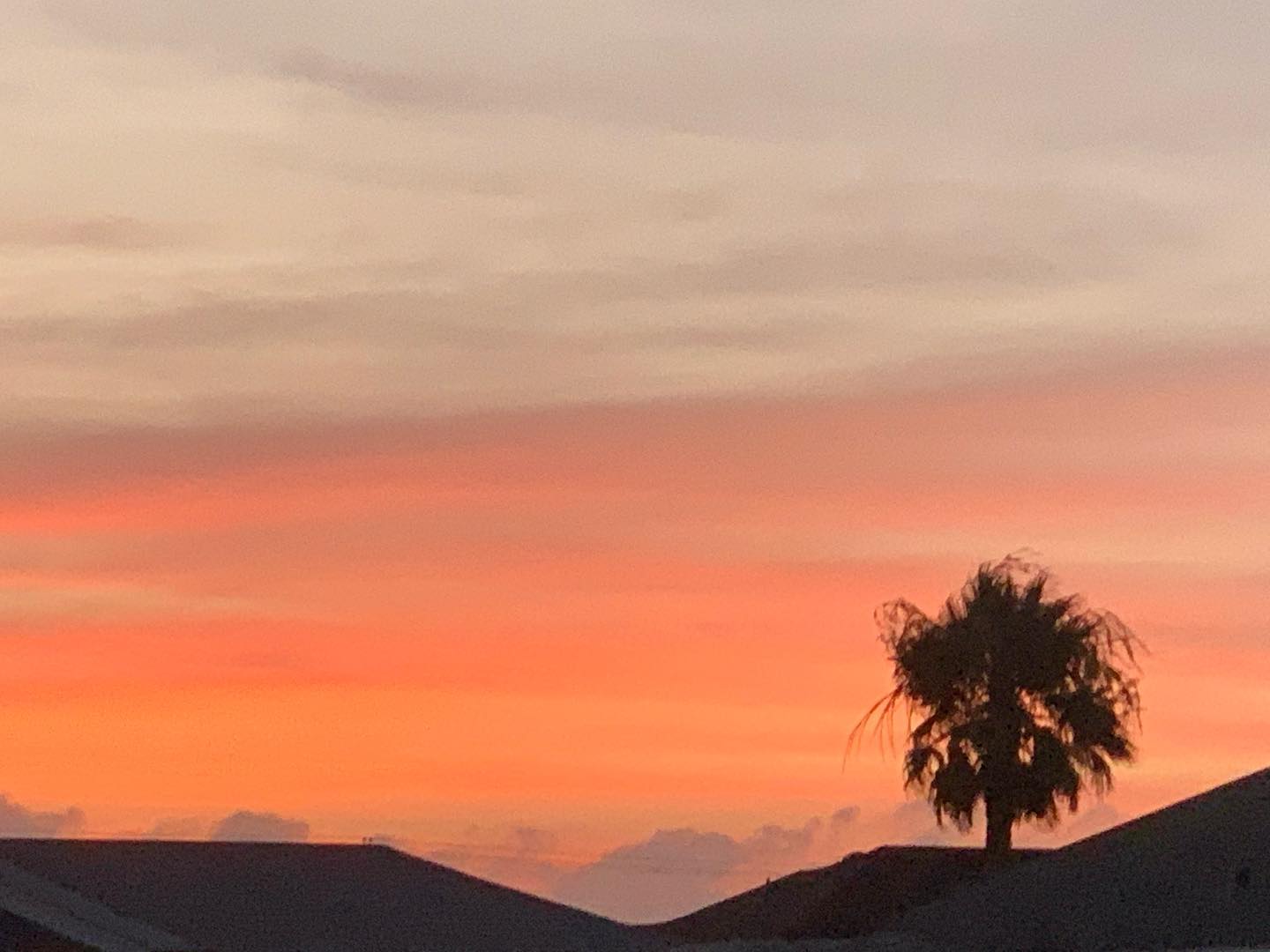 #grateful🙏🧡💗🤍