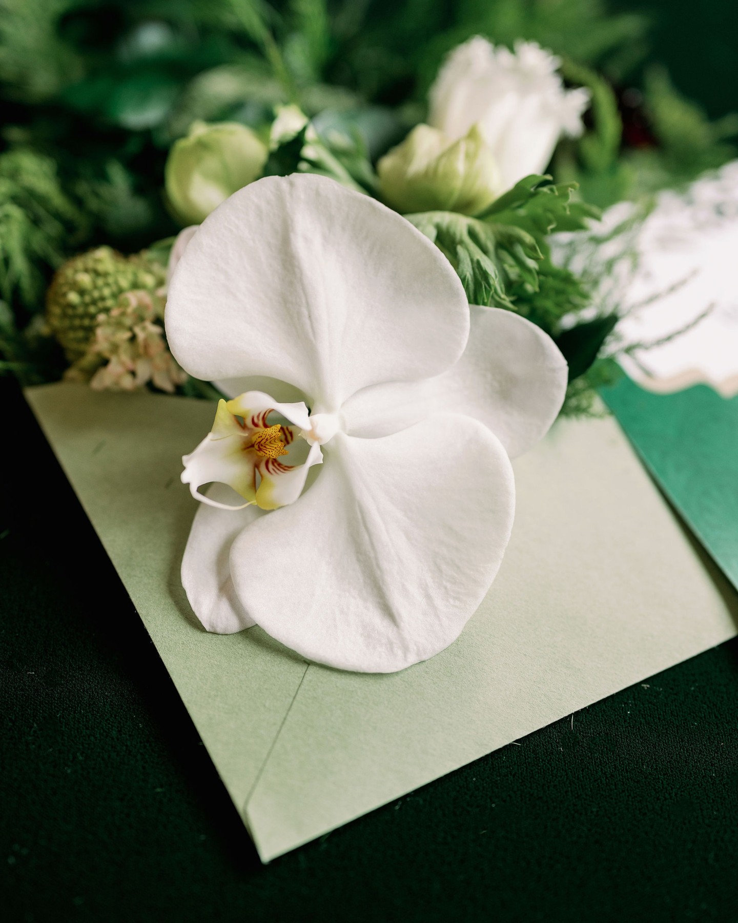 An image that sets the mood for a fantastic collaboration in yet another memorable styled photoshoot orchestrated by my dear friend Karla. Julia's magic captured the enchantment to perfection. This is just a preview of the magnificence of a team of beautiful souls that got together to, once again, make magic happen. Thank you all for an unforgettable experience.
I am your number-one fan!
-
Esta es solo una muestra de la magia detrás de otra sesión de fotos maravillosa de la mano de mi querida Karla Eifler y un equipo de professionales maravillosos que colaboraron para hacer de este, otro moment inolvidable. Hay equipo!
-
Naples Wedding & Event Planner: @naplespartyplanner
Venue: @naplesbayresortweddings
Photo: @fantasmic_photography
Video: @blancowedding
Baker/Artist: @crocuskek
Floral Design: @laroseflb
Hair & Makeup: @pamperedimage
Rentals/Decor: @plithosrentals
Tabletops: @taylorrentalnaples
Violinist: @gisviolin
The amazing 1948 Buick: @naplespartyplanner
Bridal Attire: @somethingbridalswfl
Groom Attire: @thetuxxman
Bride ivankarogatun
Groom: @dmytro.khlopchyshyn
The talented Dress Designer: @malkovichrent
Paper Goods: @timeless.impress
...
#timelessimpress #bespokestationery #weddingstationery #luxurystationery #weddinginvitation #luxuryinvitation #bespokeinvitation #custominvitation #customstationery #custommade #handmade #handcrafted #wedding #destination #destinationwedding #microdestinationwedding #luxurywedding #fairycore #balletcore #angelcore #cottagecore #classicwedding #naples #chicago #boda #invitacionesdeboda #quinceanera #quince #chicagowedding #floridawedding