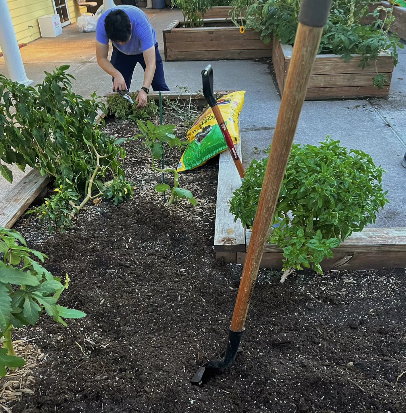 Life feels slower when working in the garden 🧘🏽♀️🌿
#gardening #plants #nature