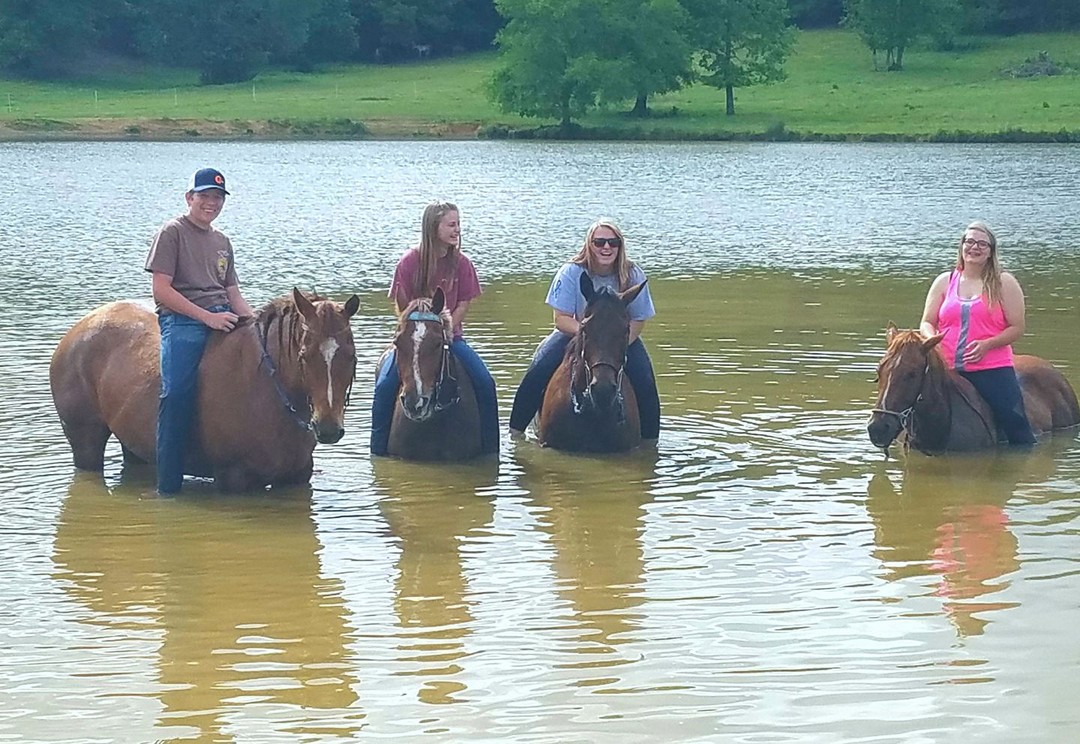 Quote from C.S. Lewis,
“No one can teach riding so well as a horse.” Do you agree? #horseriding #cslewis #horsequotes